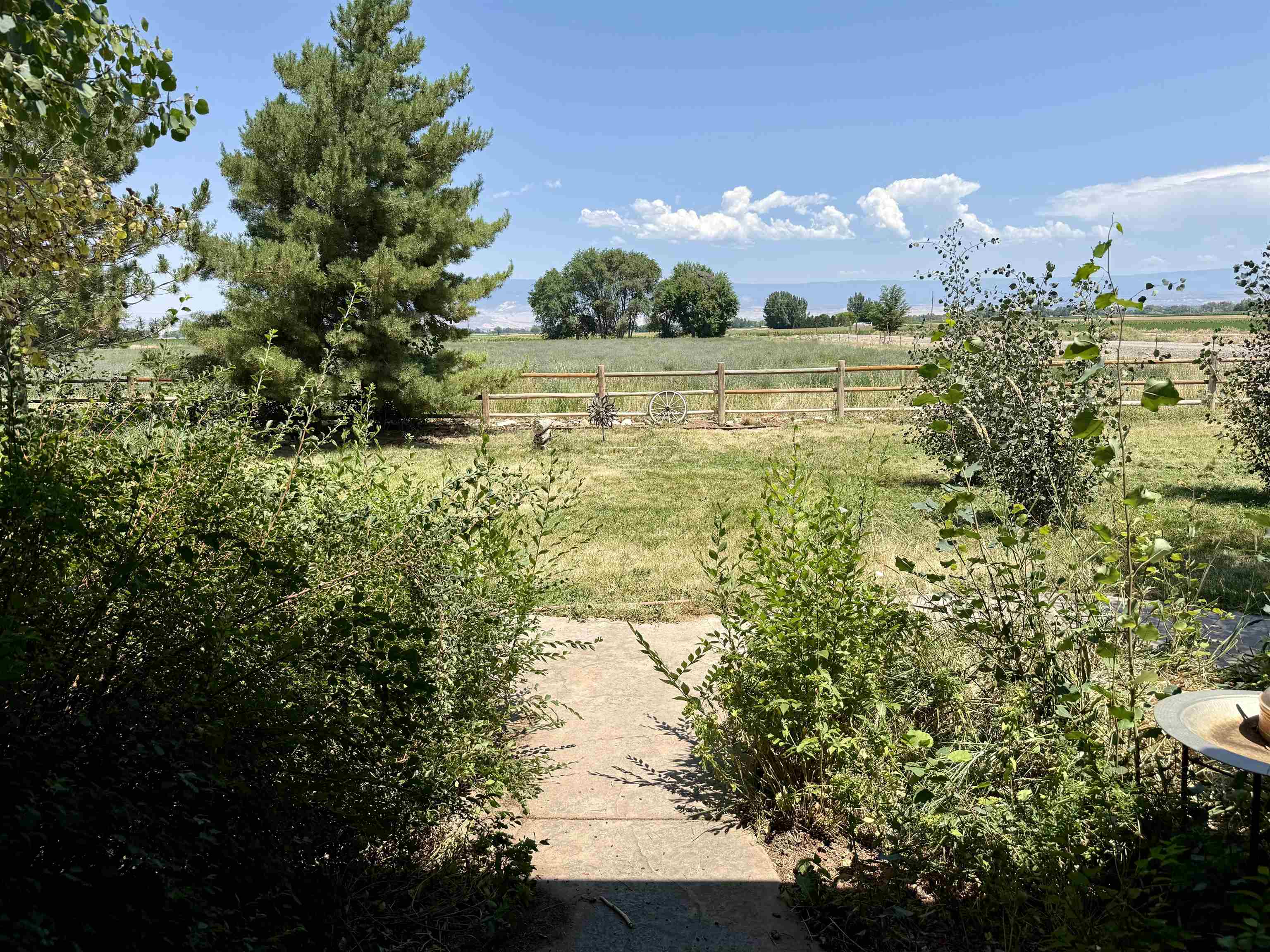 52494 Carnation Road Property Photo 31