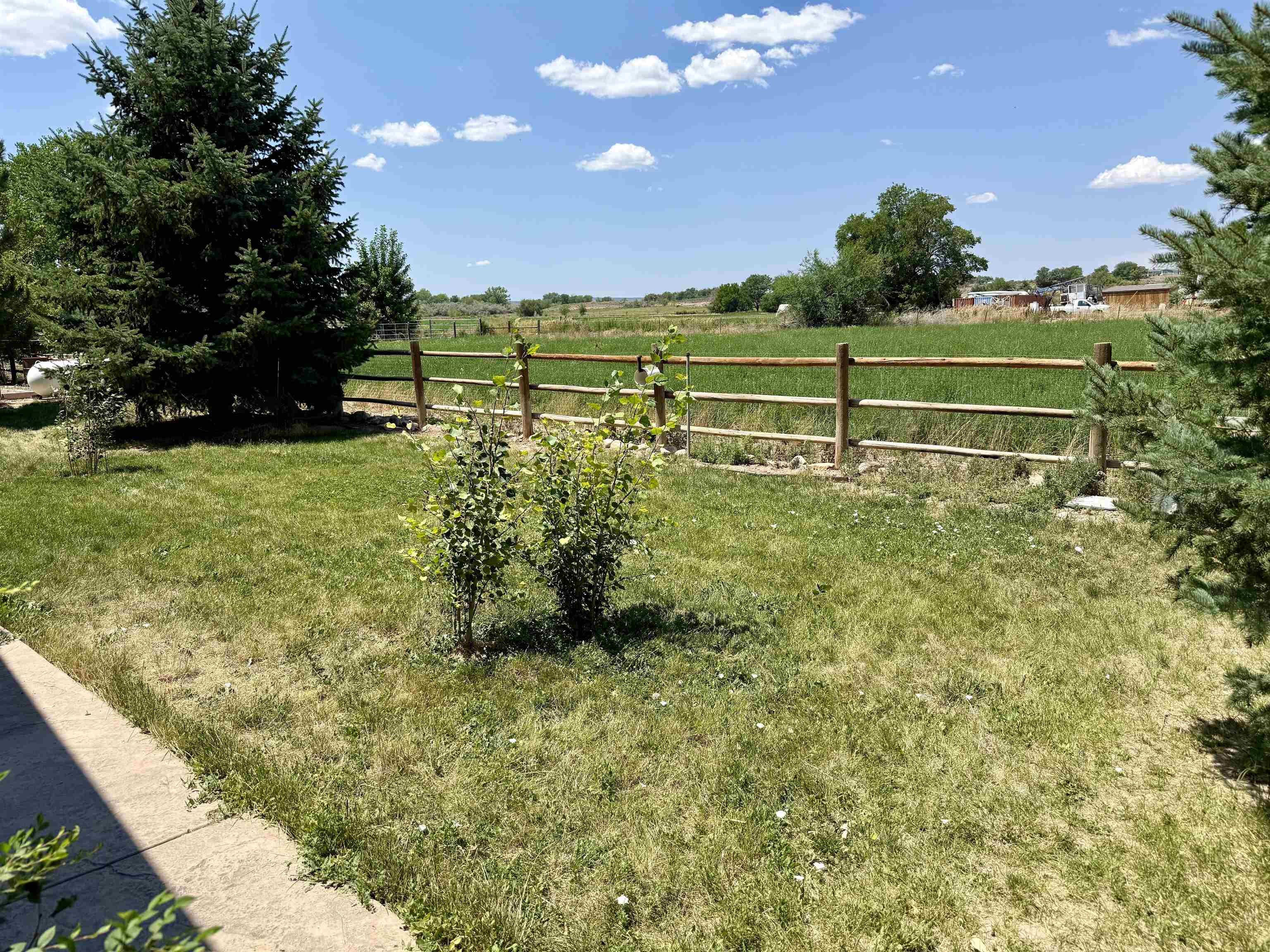 52494 Carnation Road Property Photo 32