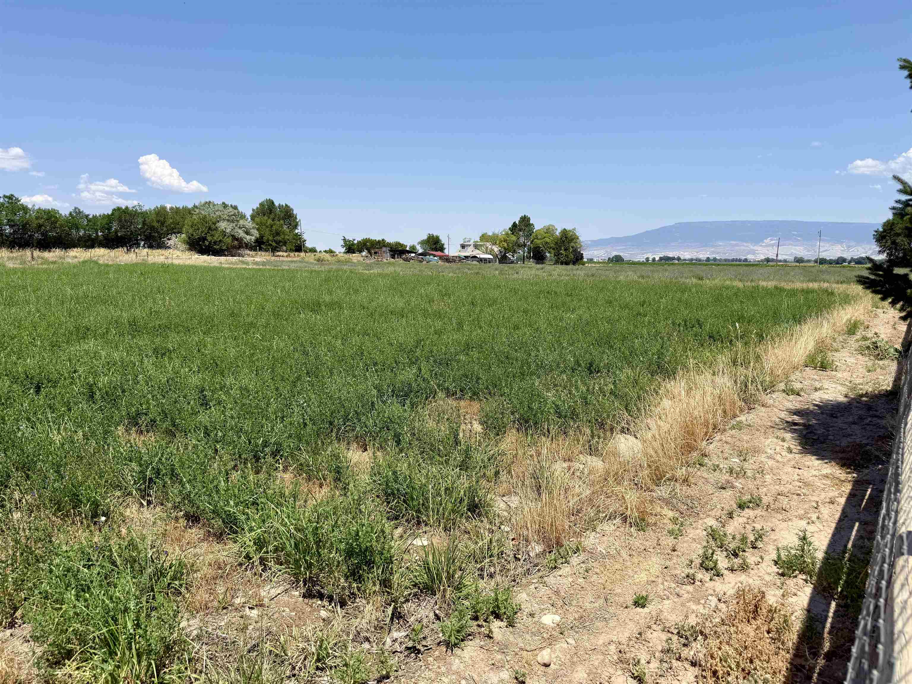 52494 Carnation Road Property Photo 40