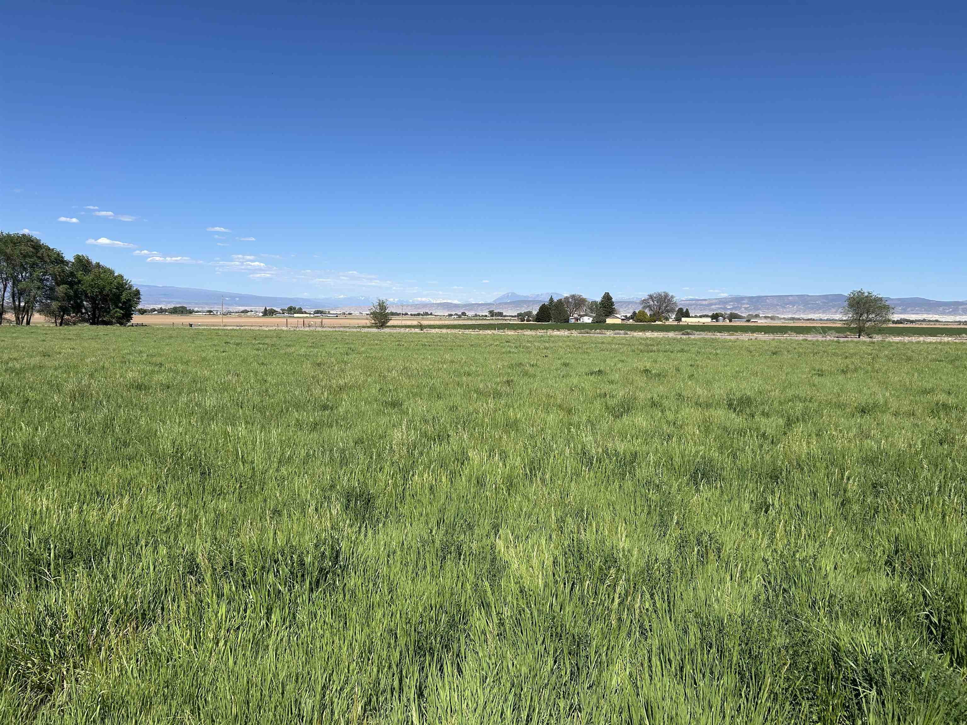 52494 Carnation Road Property Photo 41