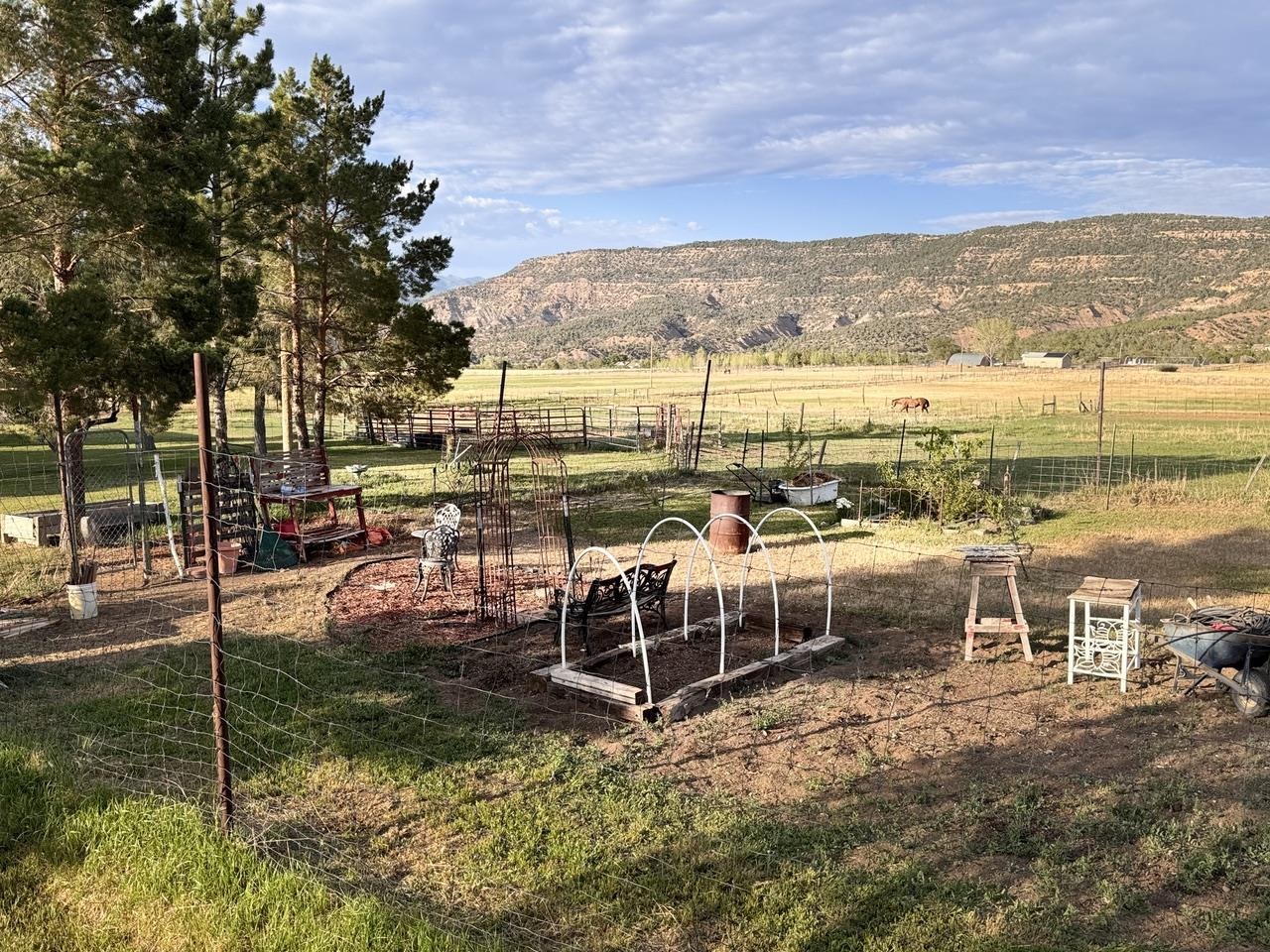 14385 59 1/2 Road Property Photo 20