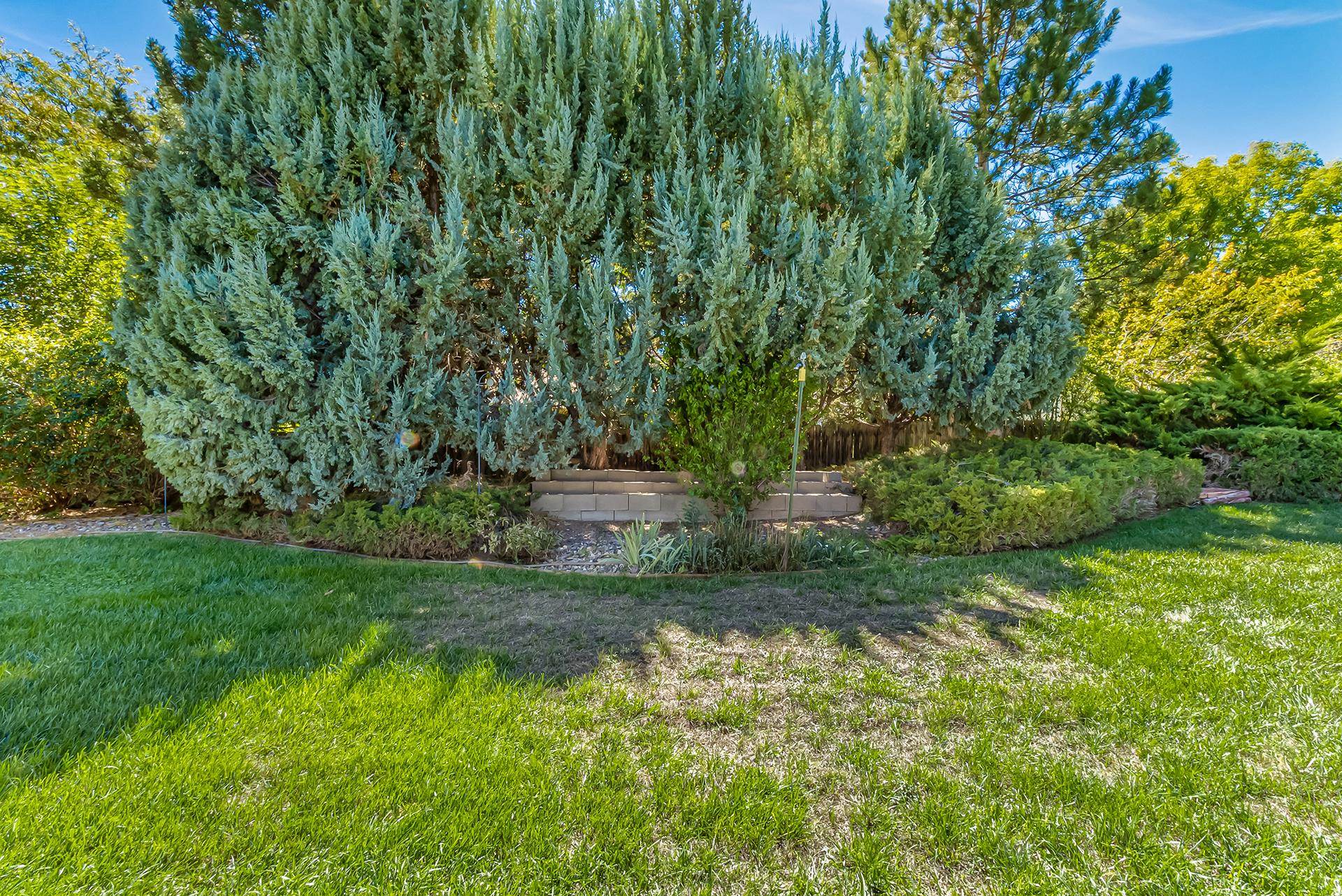 2195 E Canyon Court Property Photo 37