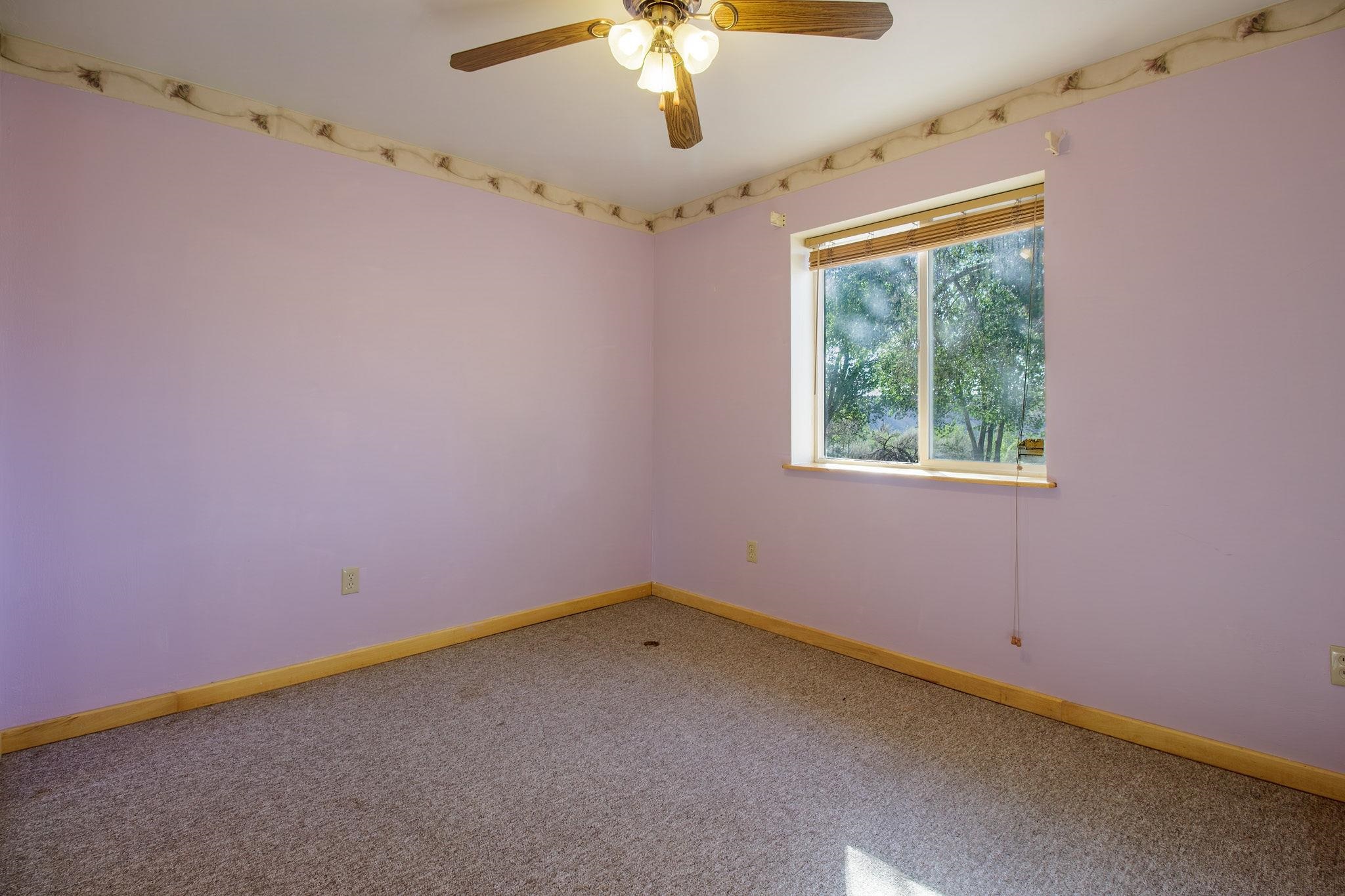 20479 North Road Property Photo 30
