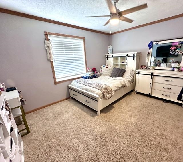 14110 A 3/4 Road Property Photo 21