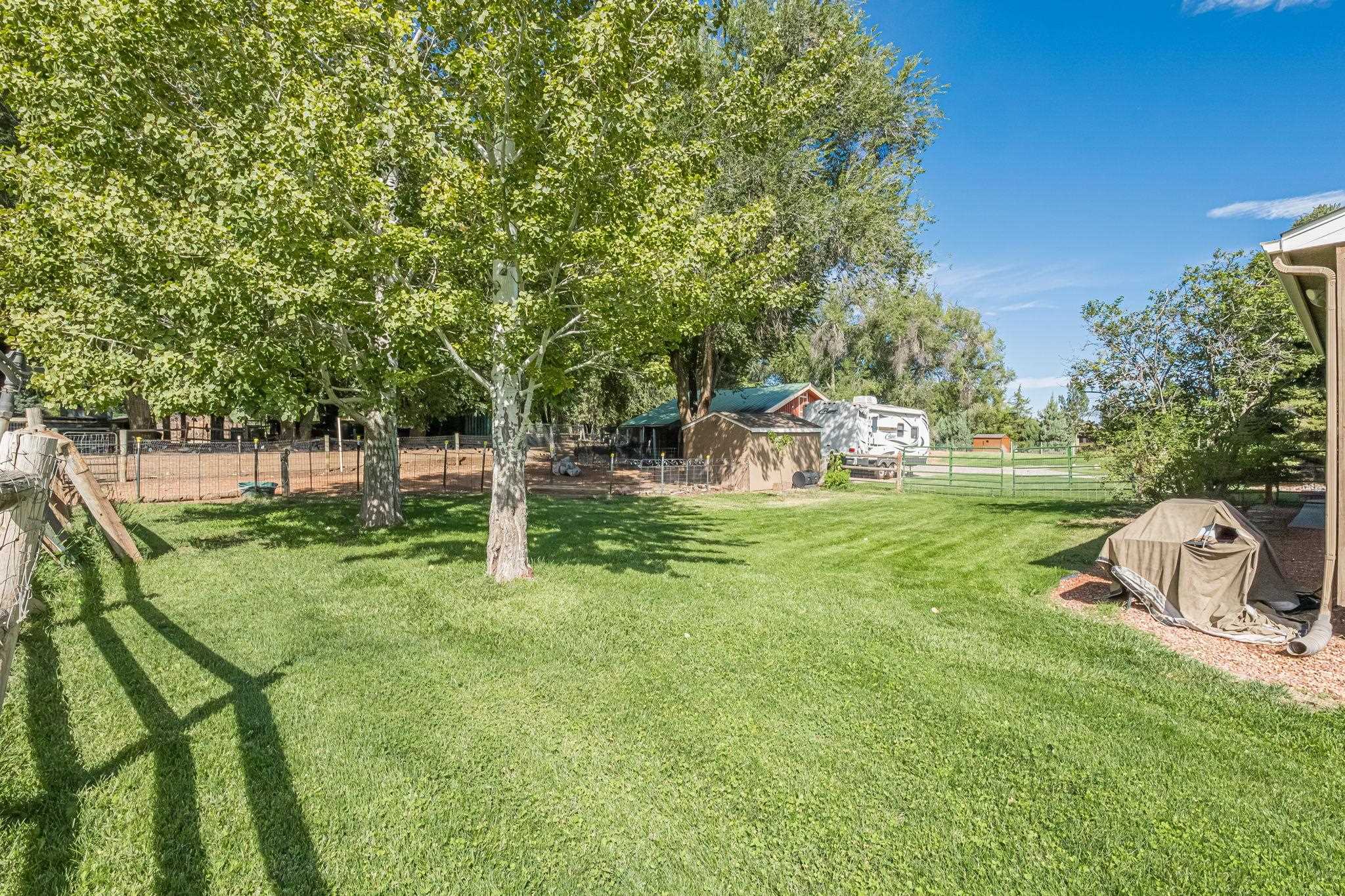623 19 1/2 Road Property Photo 40