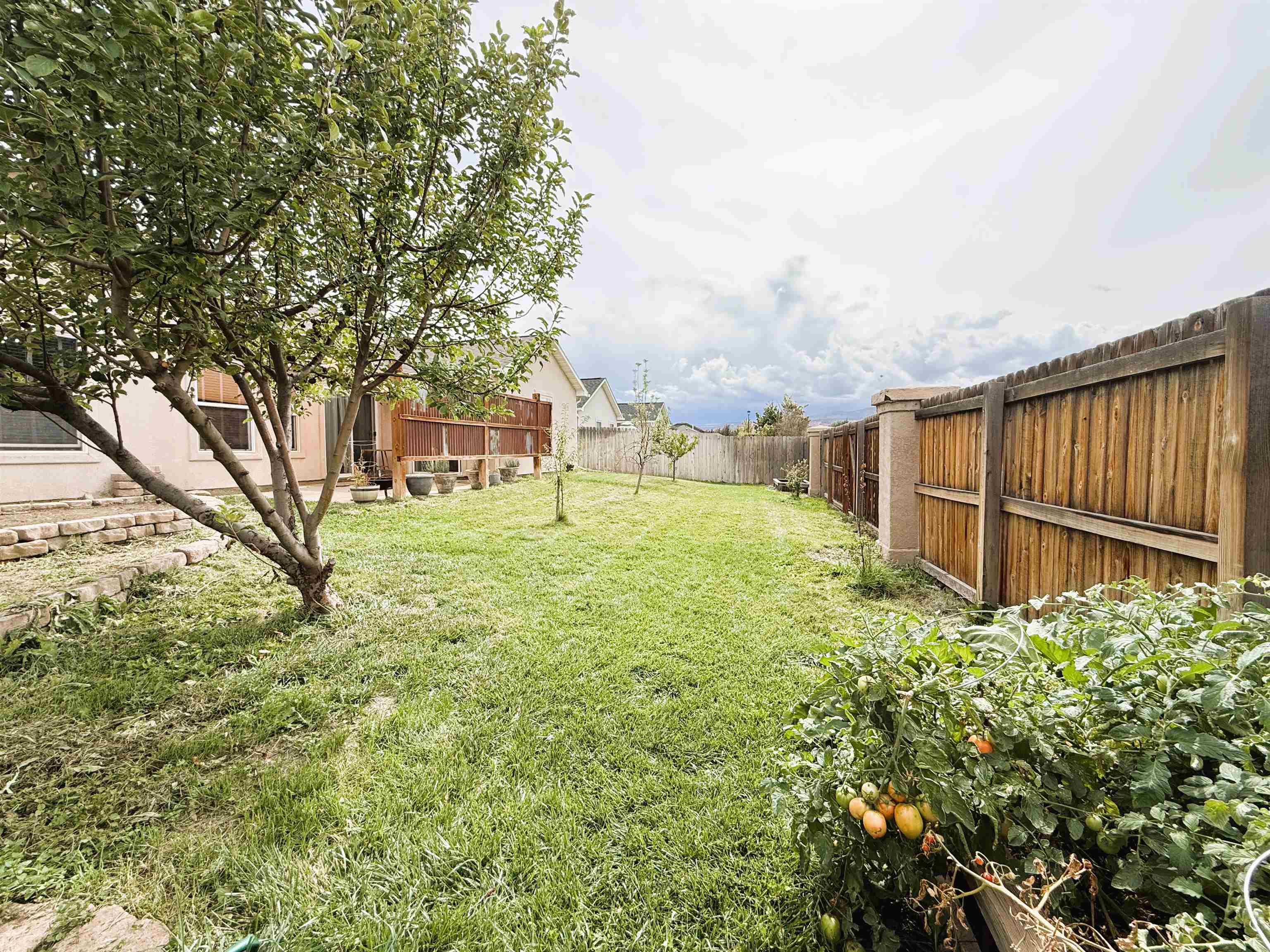 1137 Wolf Creek Court Property Photo 40