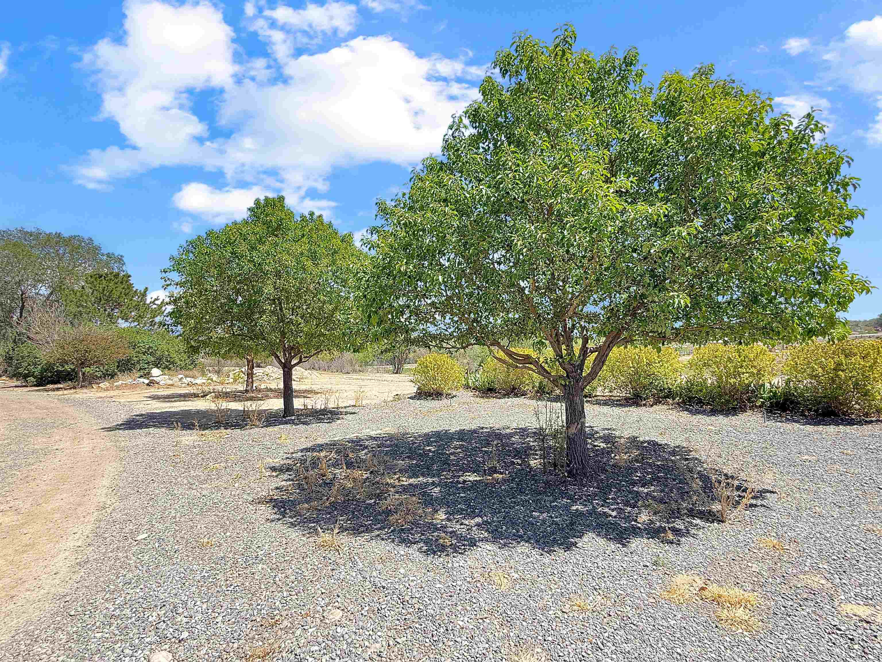 5955 Sawmill Mesa Road Property Photo 40