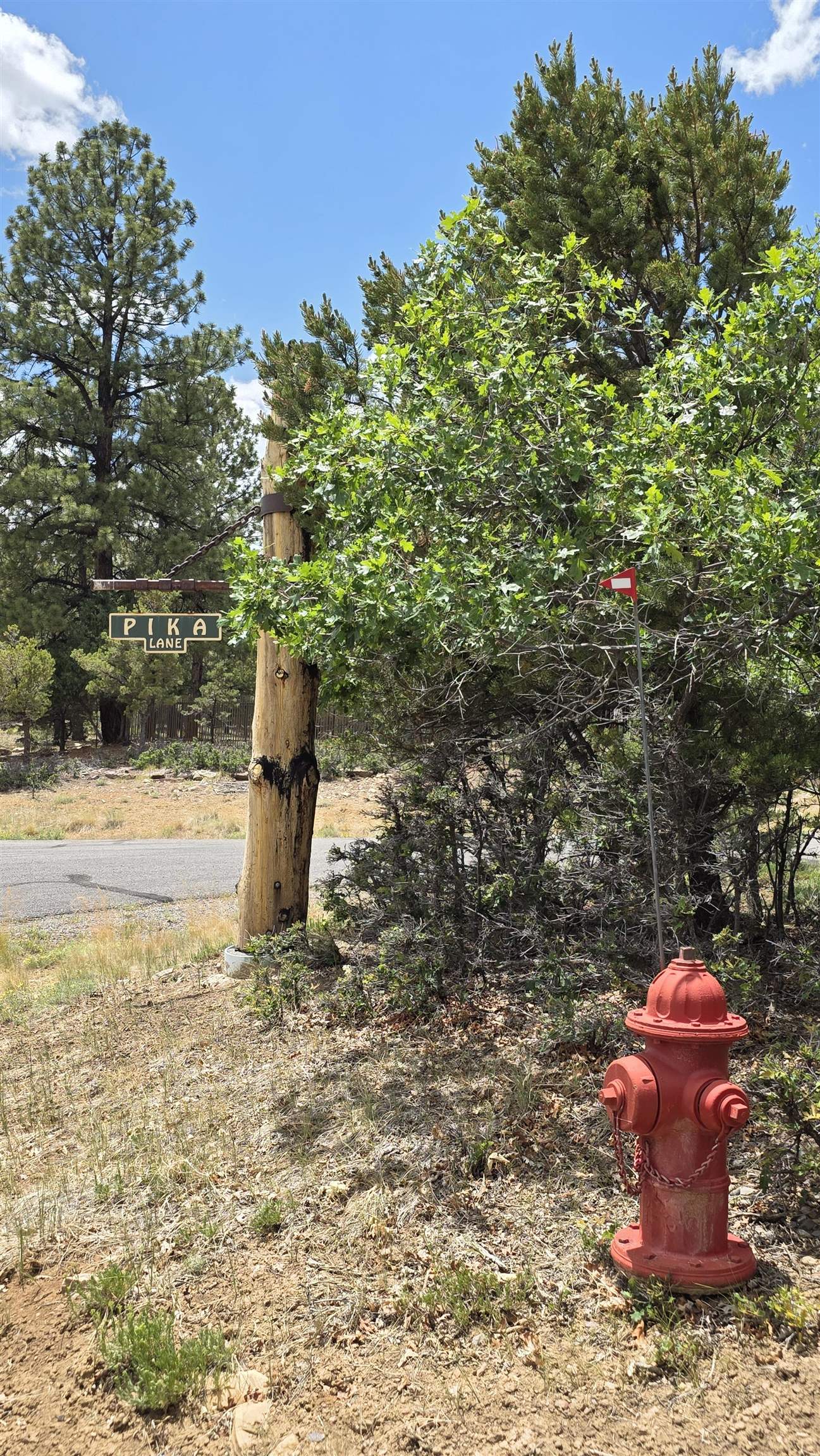 118 Pika Lane Property Photo 5