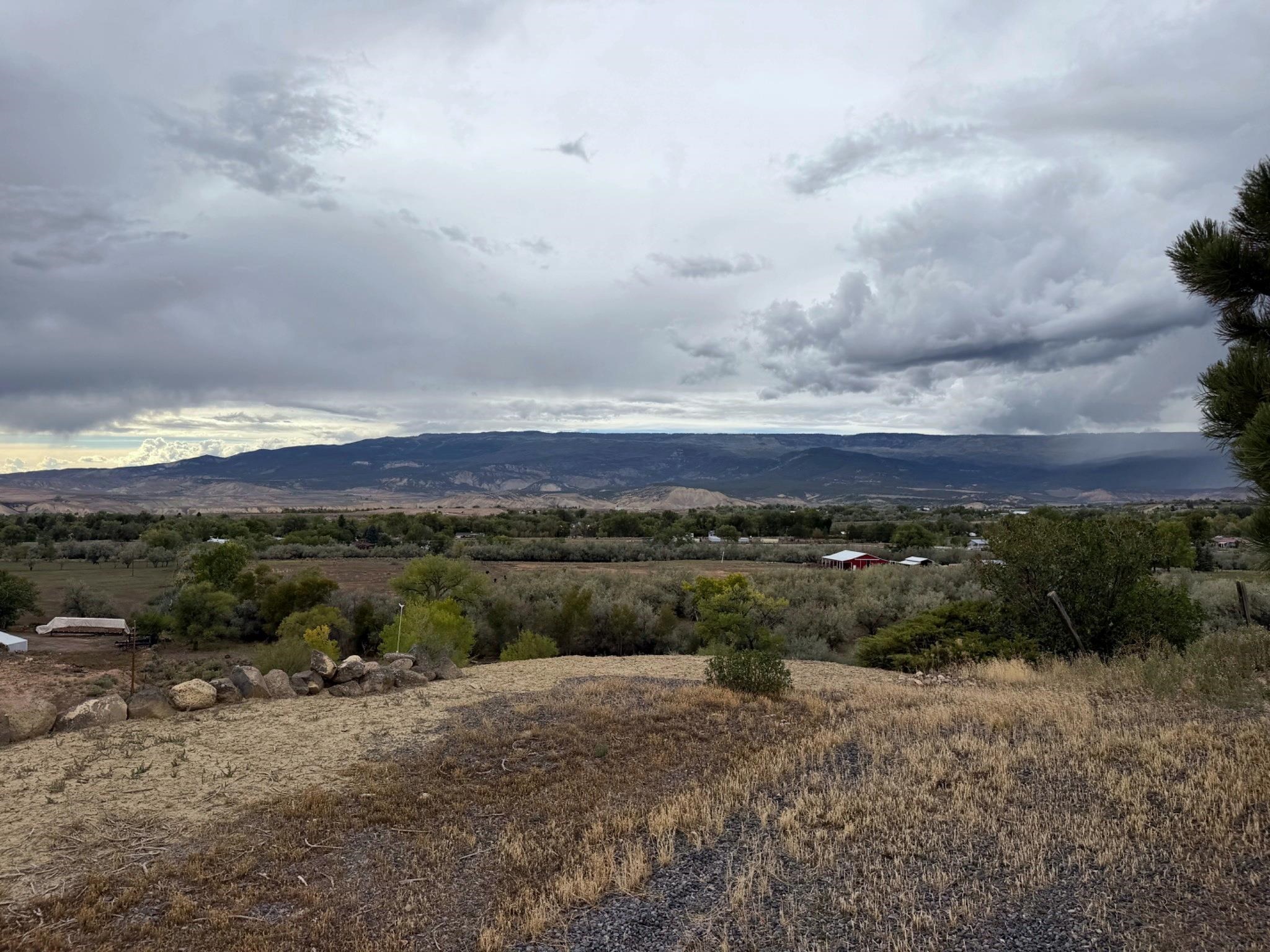22563 Oatman Road Property Photo 24