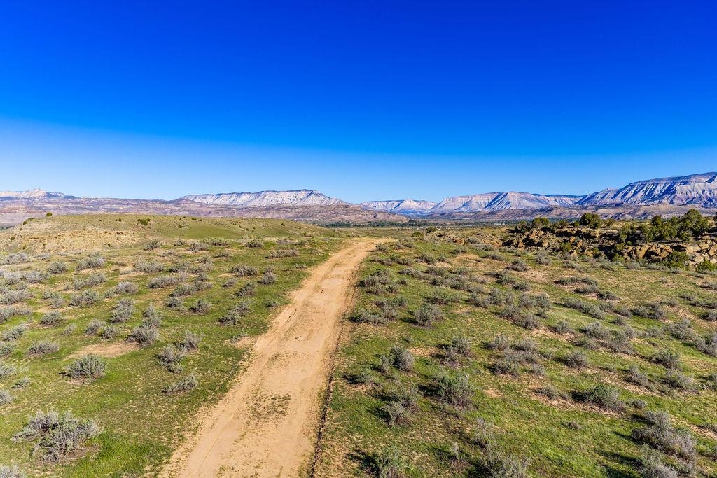 1888 45 1/2 Road Property Photo 23