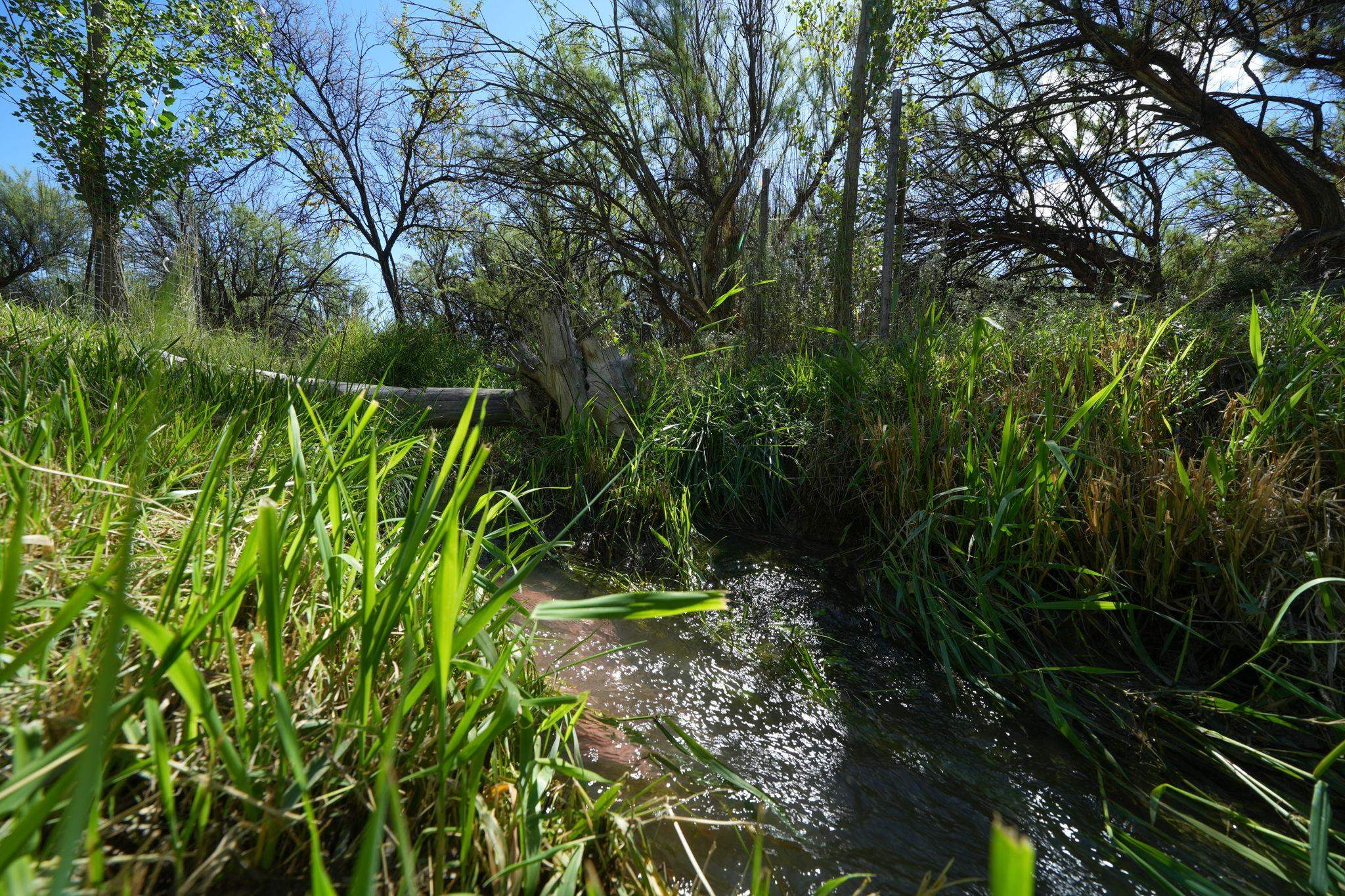 852 24 1/2 Road Property Photo 38