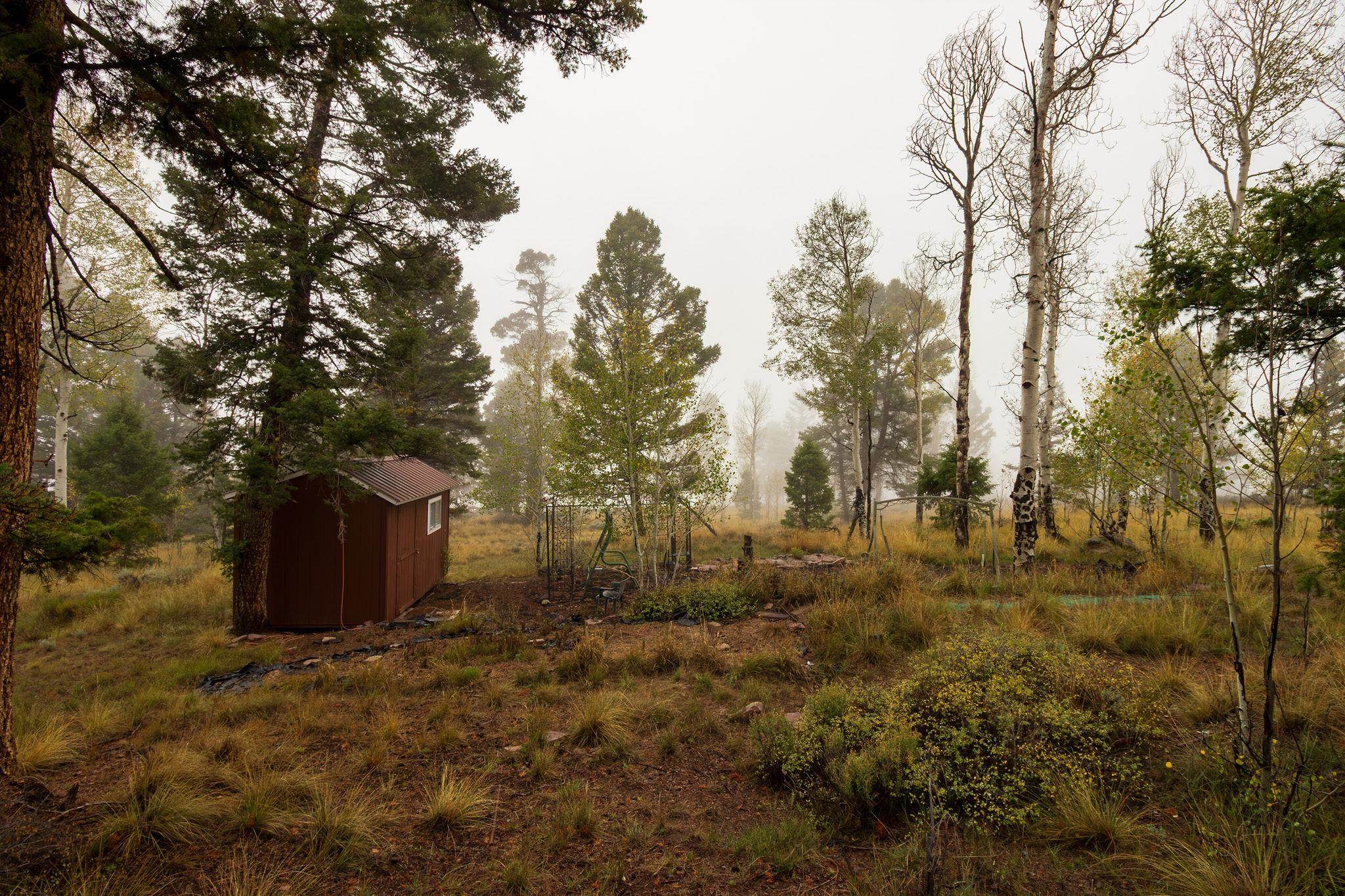 210 Kebler Trail Property Photo 12
