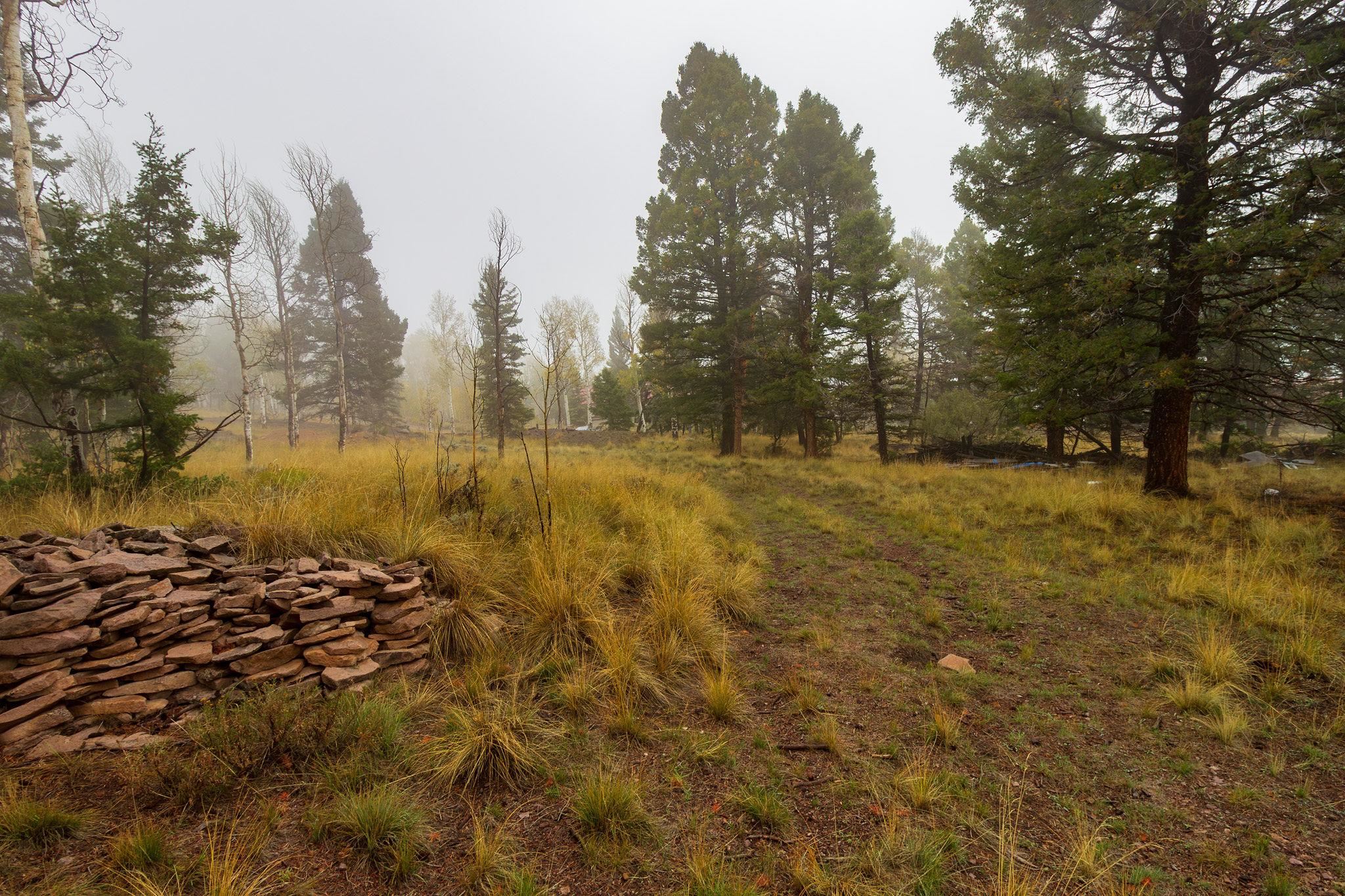 210 Kebler Trail Property Photo 14