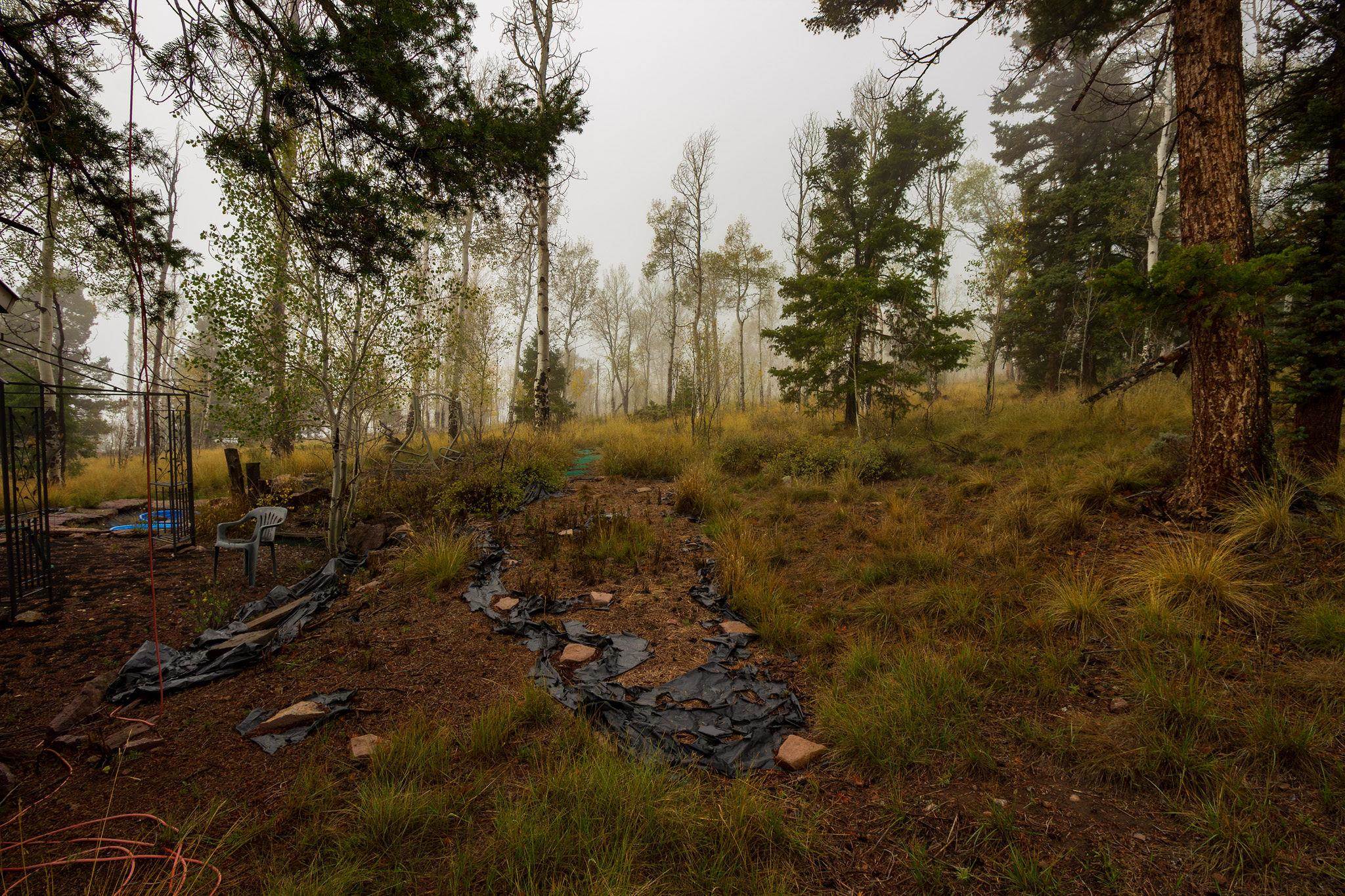210 Kebler Trail Property Photo 15