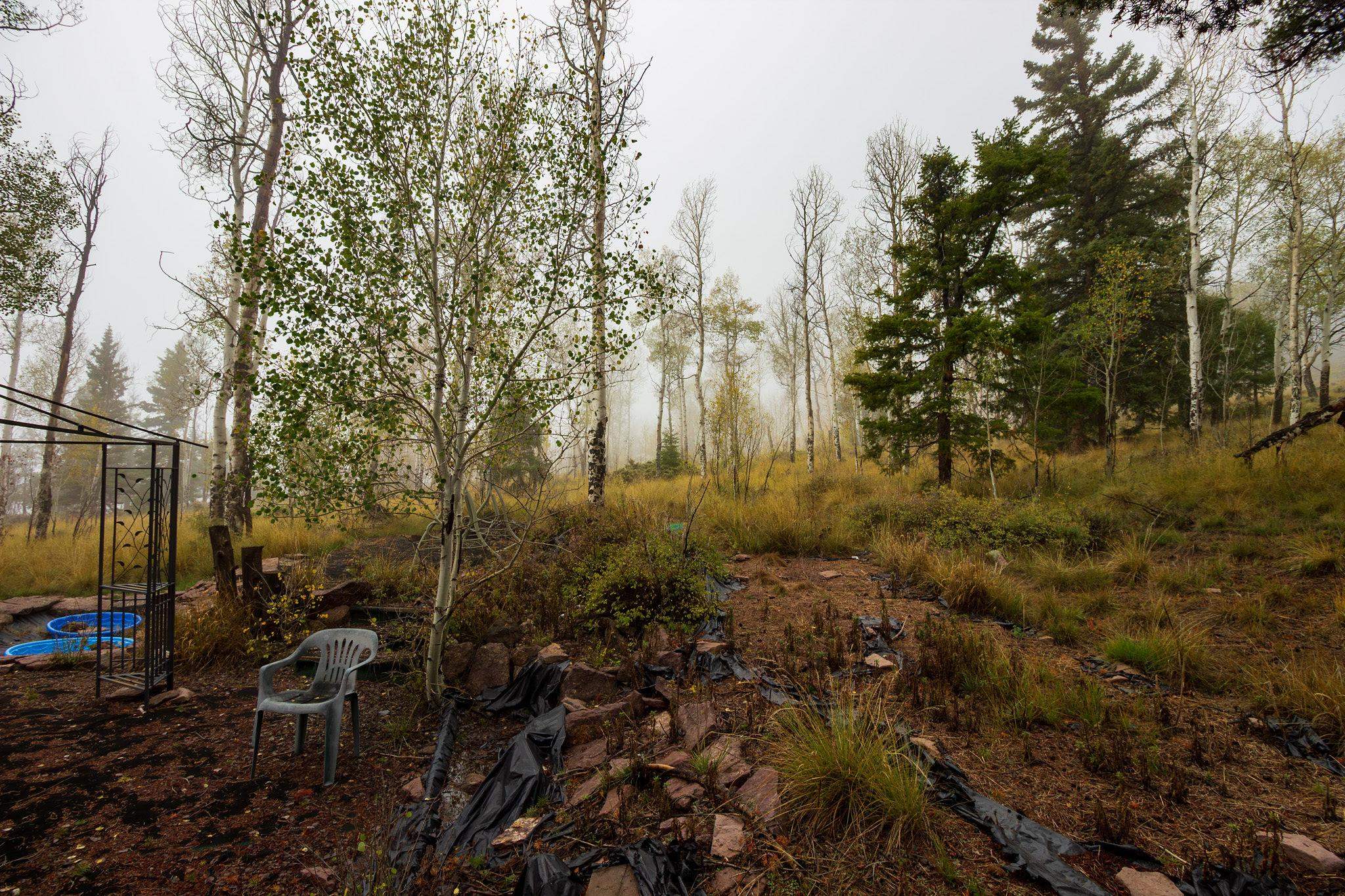 210 Kebler Trail Property Photo 16