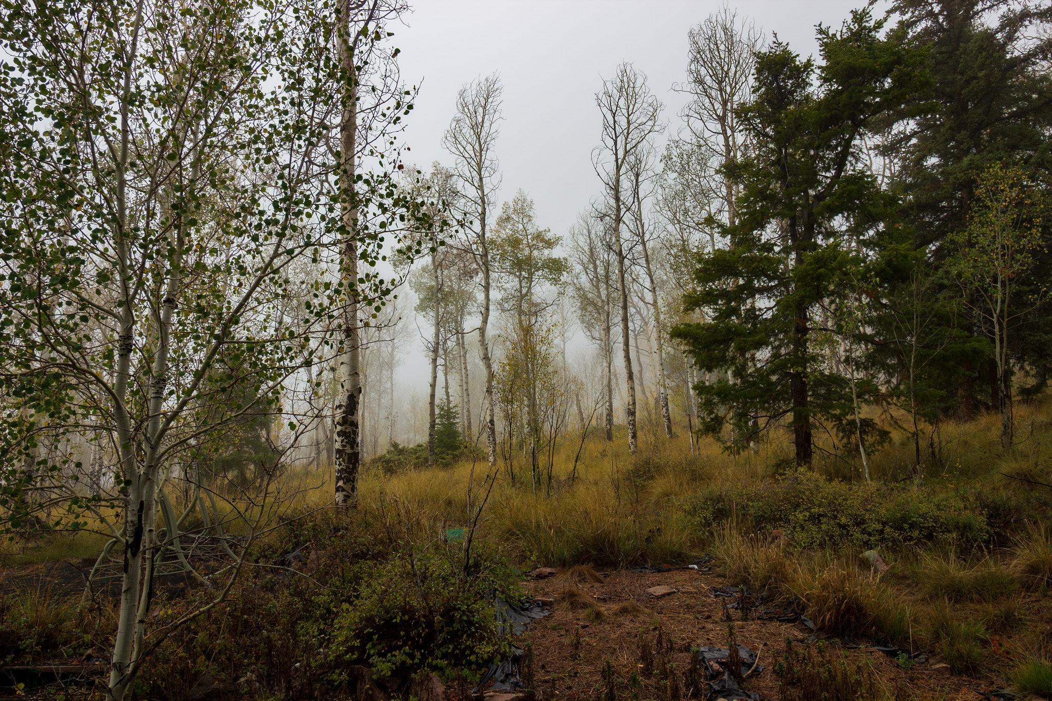 210 Kebler Trail Property Photo 17