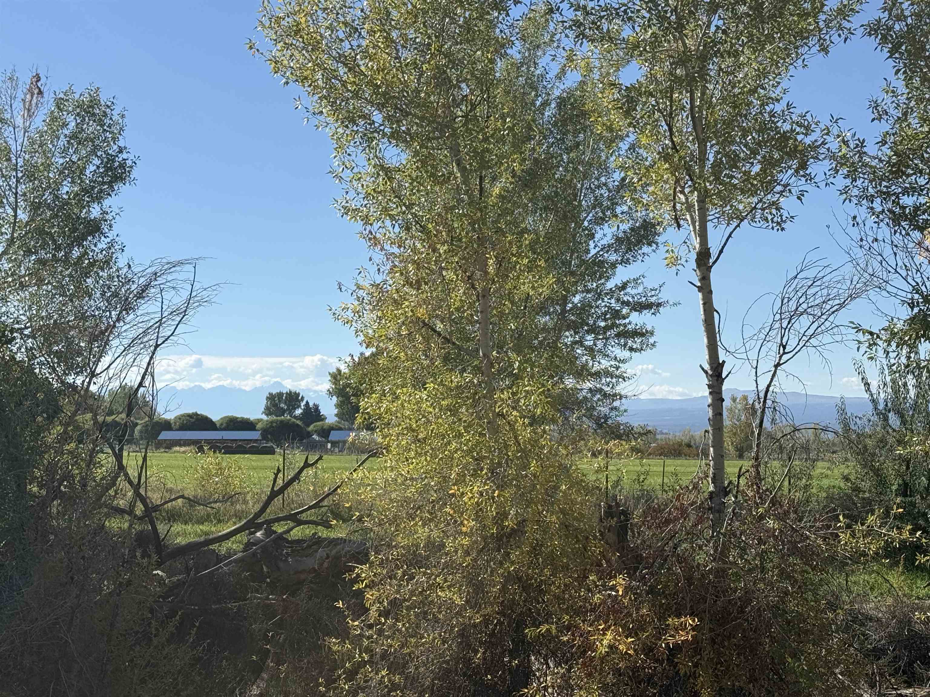 12551 6495 Road Property Photo 4