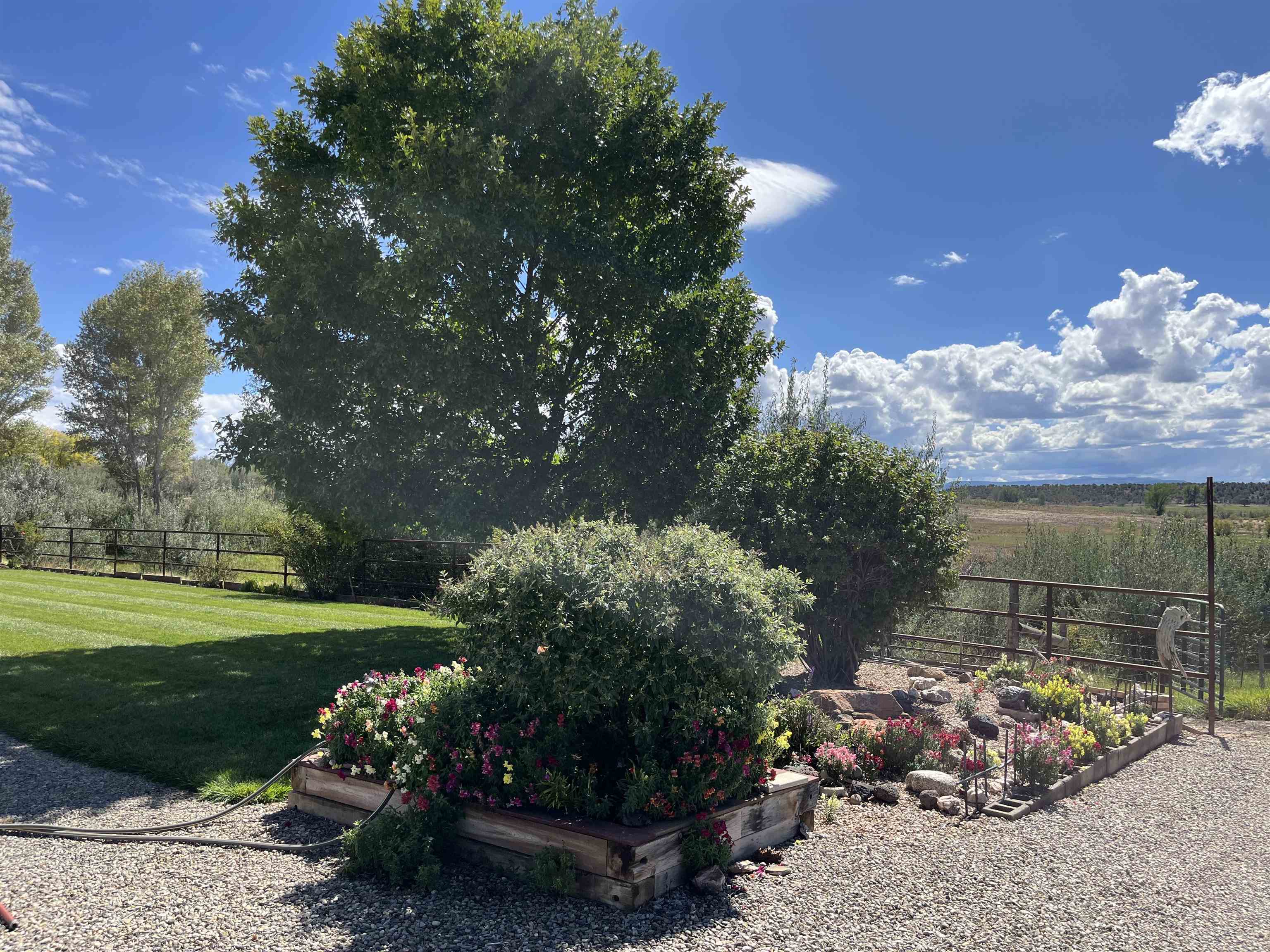 29669 Dd Road Property Photo 39