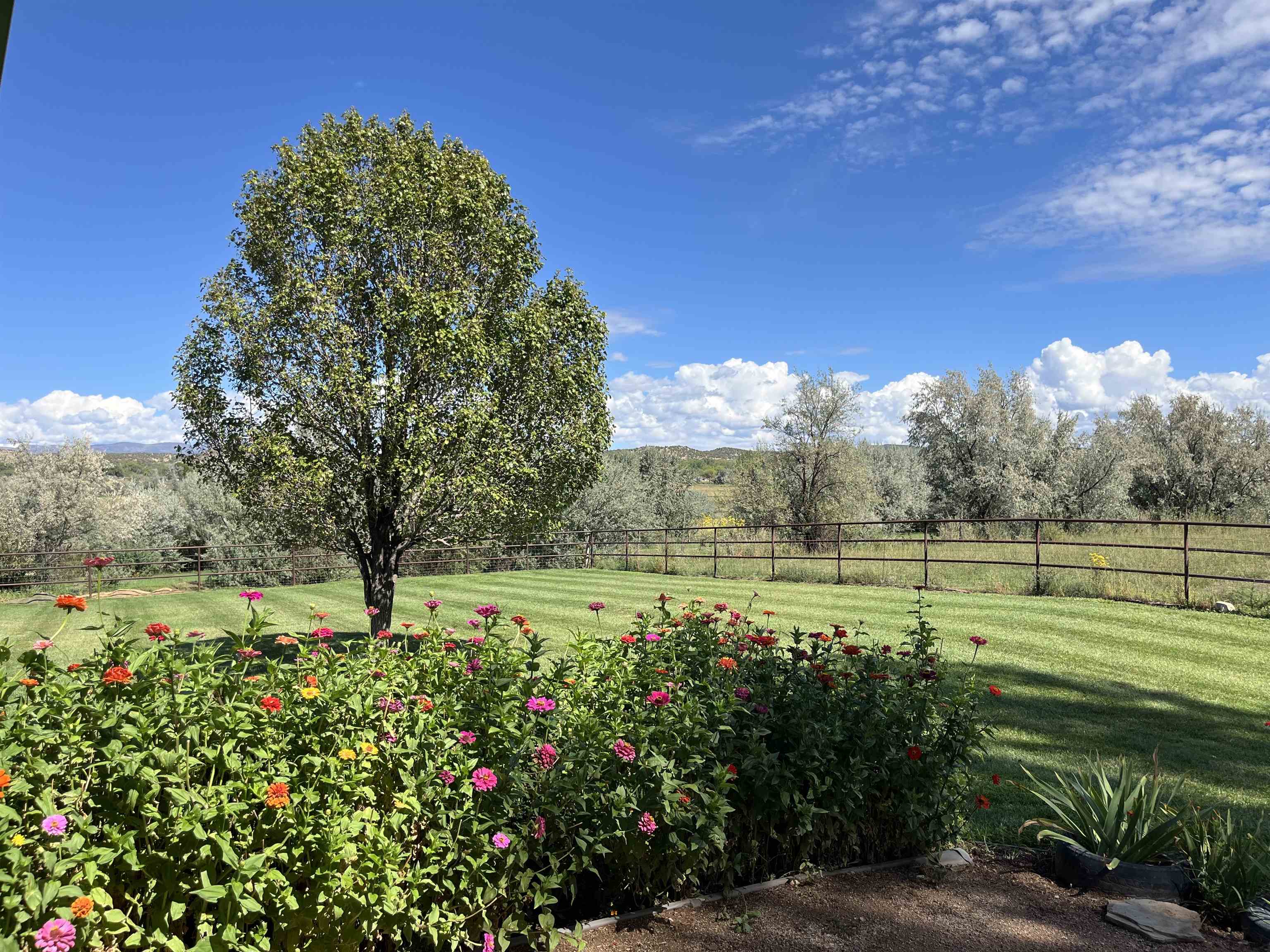 29669 Dd Road Property Photo 40