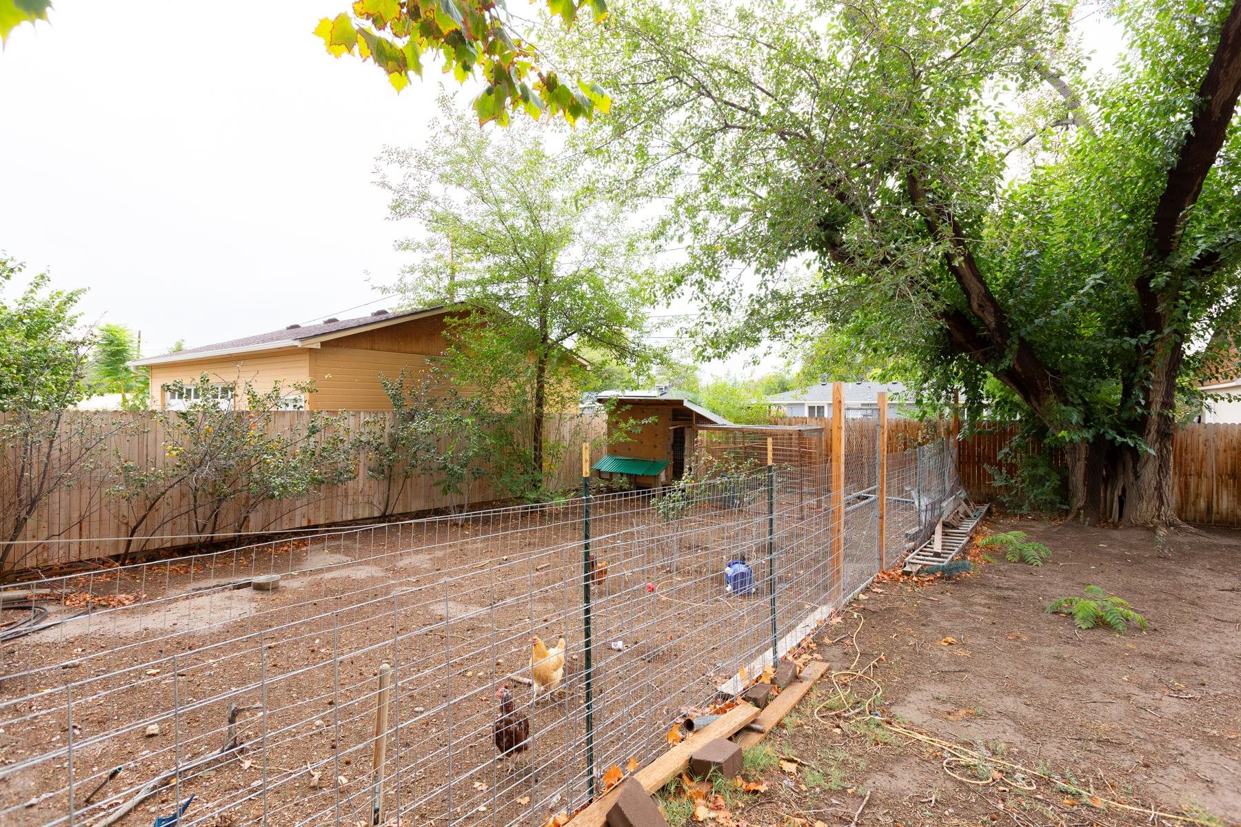 549 29 Road Property Photo 31