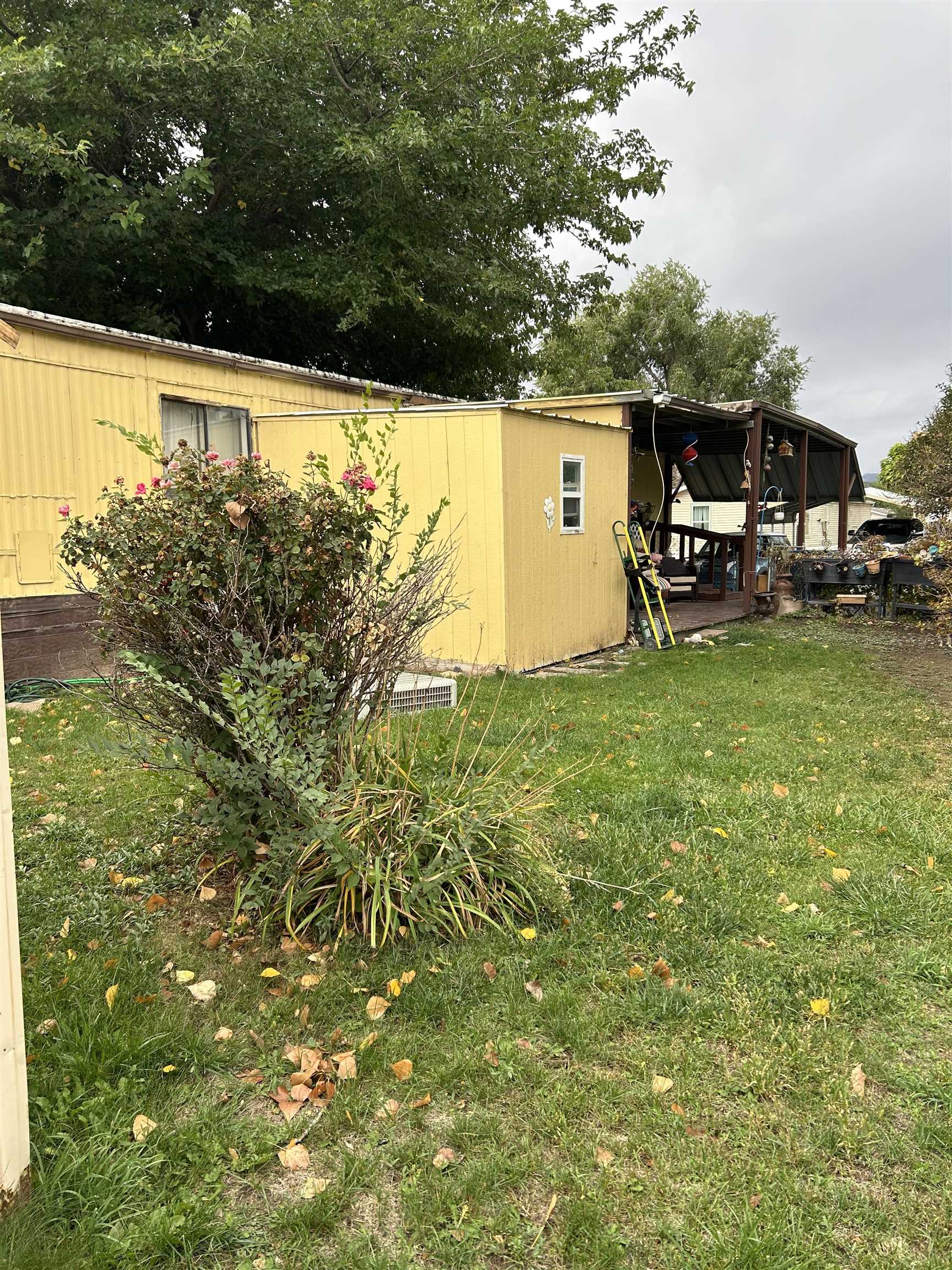 585 25 1/2 Road Property Photo 3