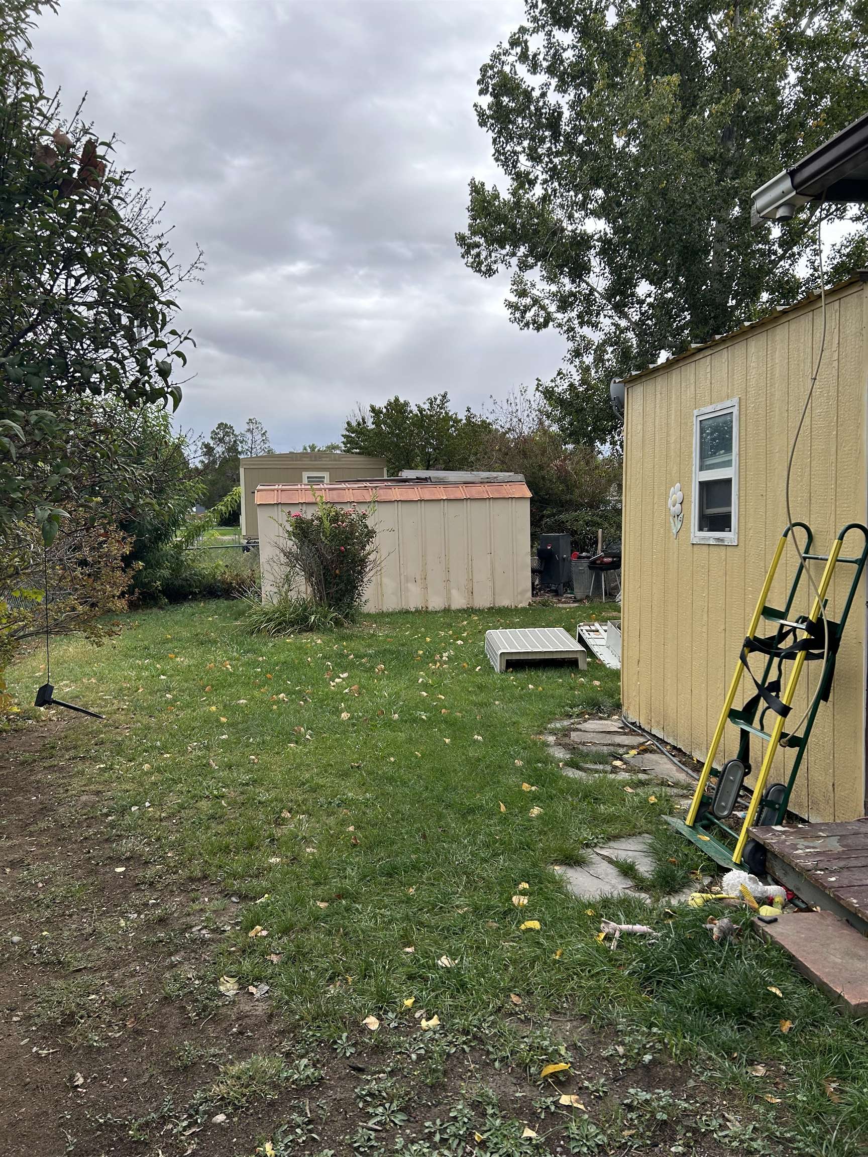 585 25 1/2 Road Property Photo 4