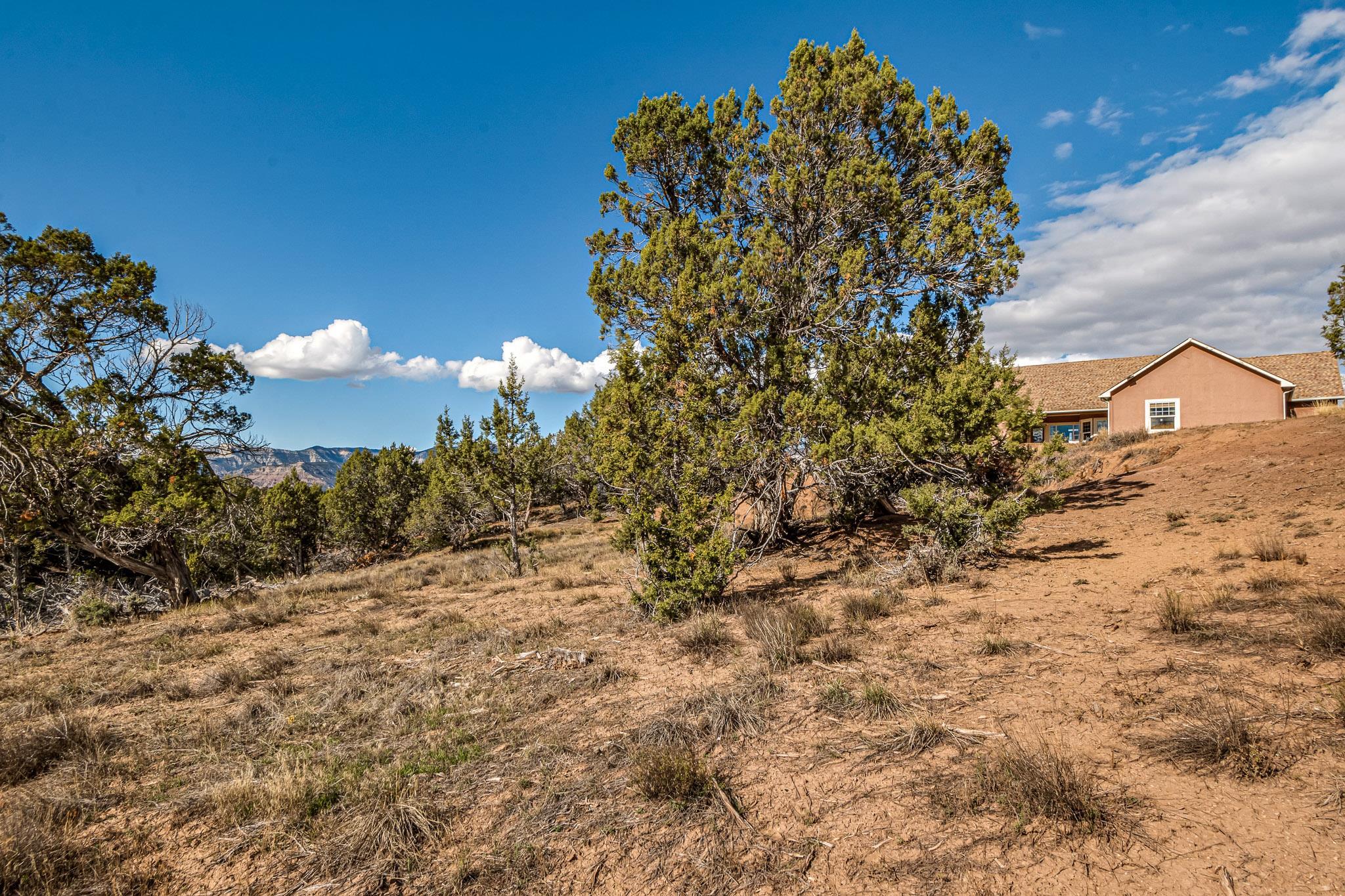 14325 Apache Lane Property Photo 40