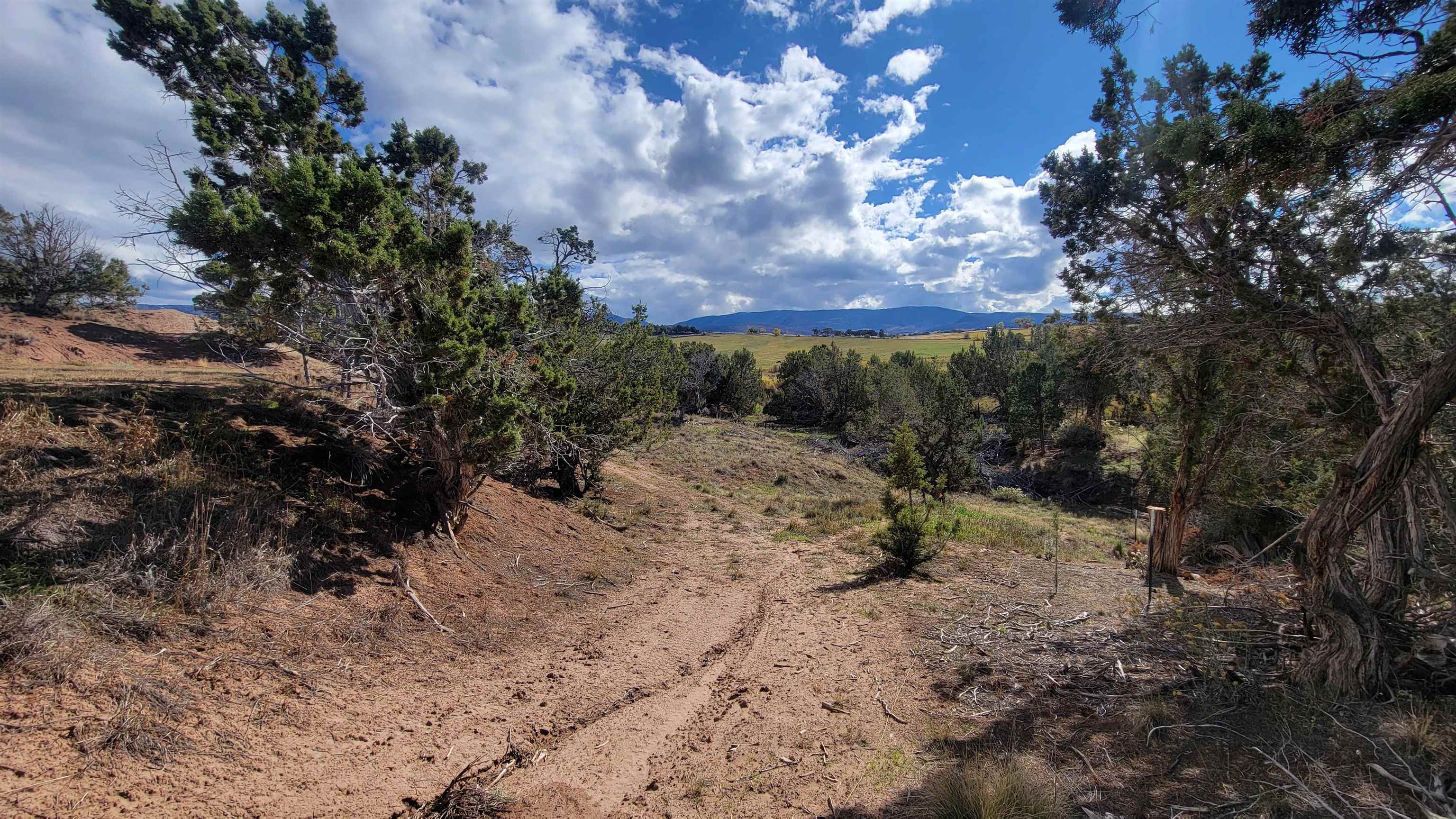 14325 Apache Lane Property Photo 41