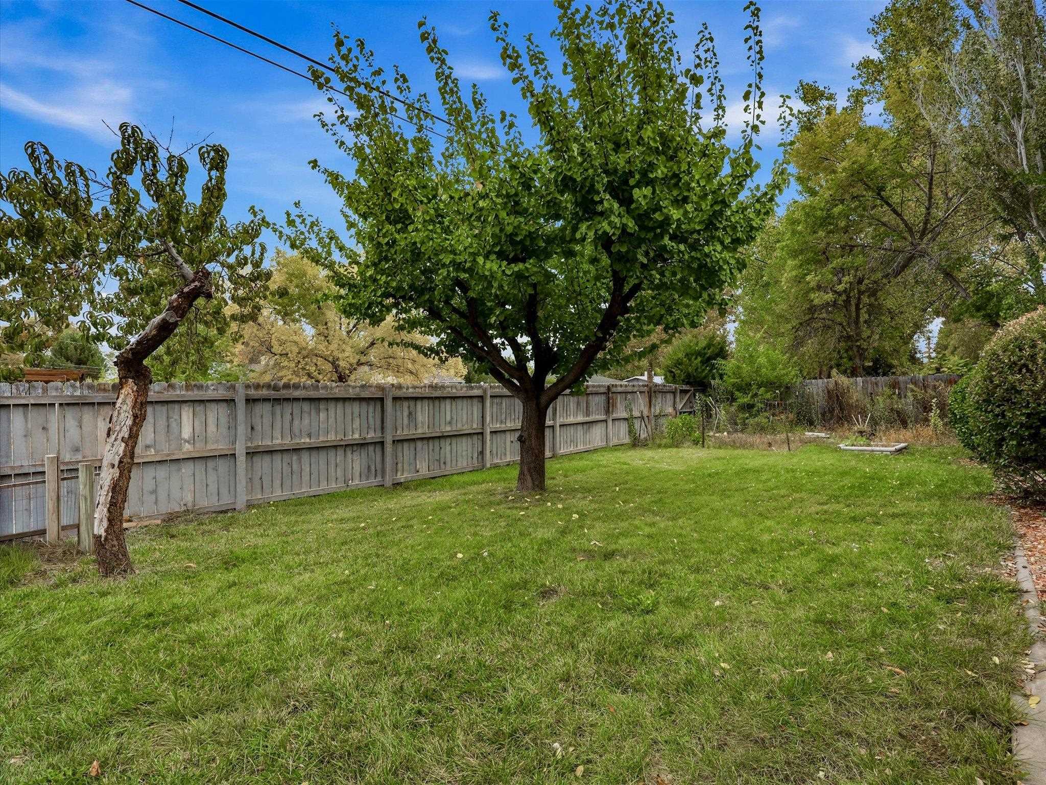 2652 Hemlock Court Property Photo 35
