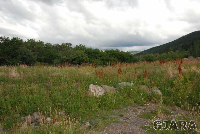 408 Coyote Run Property Photo 1