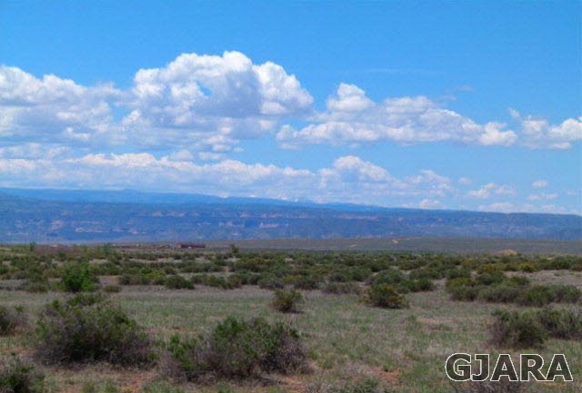 2265 16 Road Property Photo 1