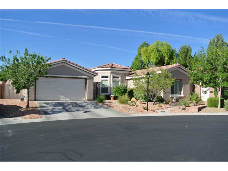 8233 Flowing Rapids Court Property Photo 1