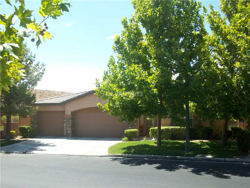 10799 Bramante Drive Property Photo 1