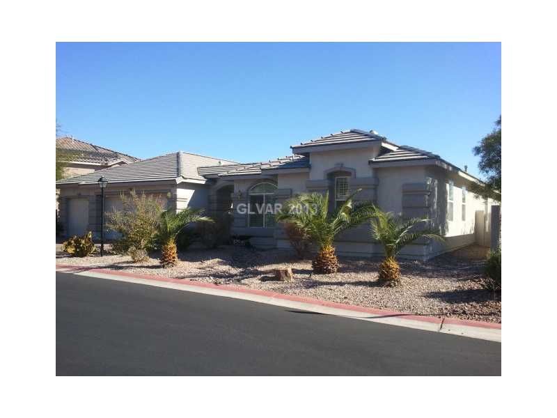 9208 Brilliant Ore Drive Property Photo 1