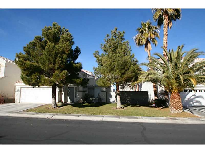 8994 Odense Way Property Photo 1