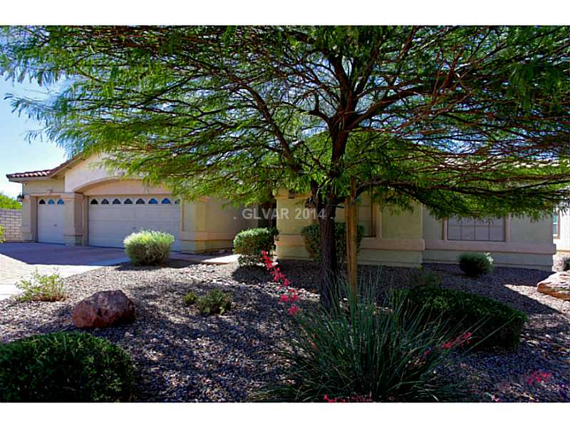 8809 Tierra Hope Court Property Photo 1