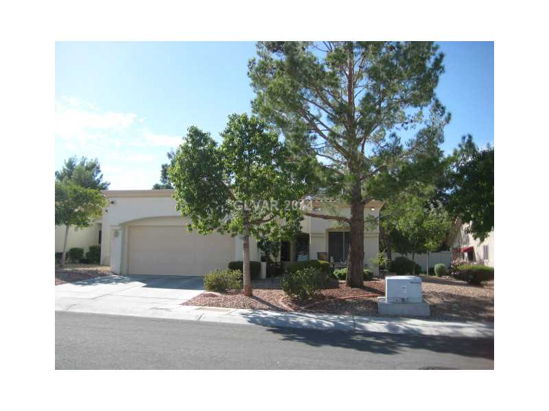 2521 Dark Peak Drive Property Photo 1