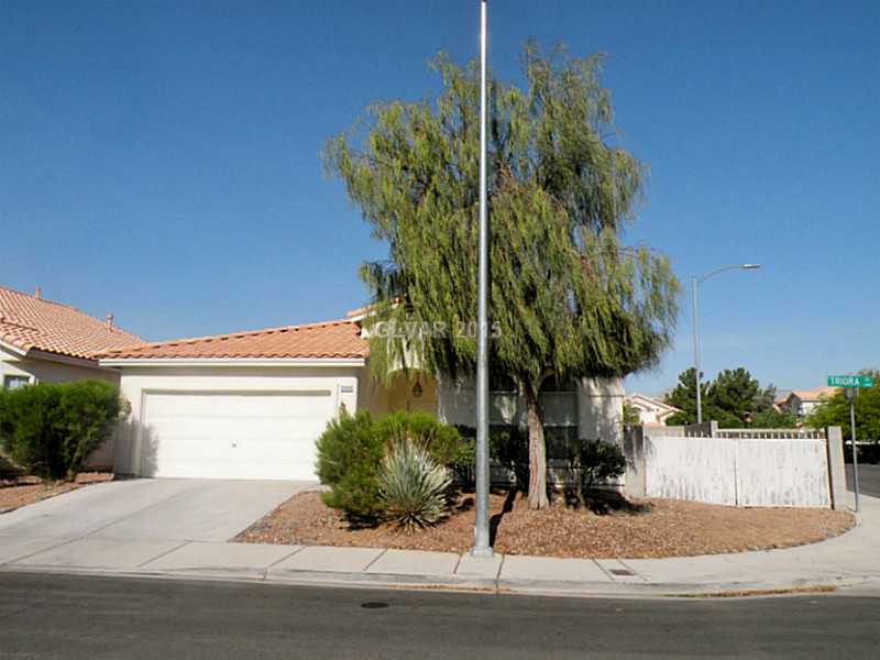 3909 Triora Street Property Photo 1