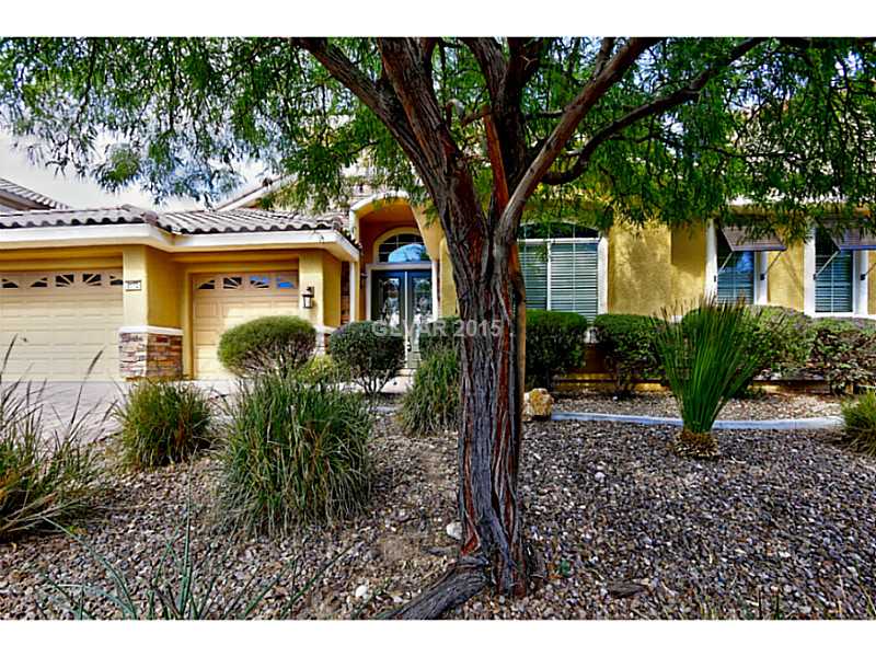 8172 Dolce Volpe Avenue Property Photo 1