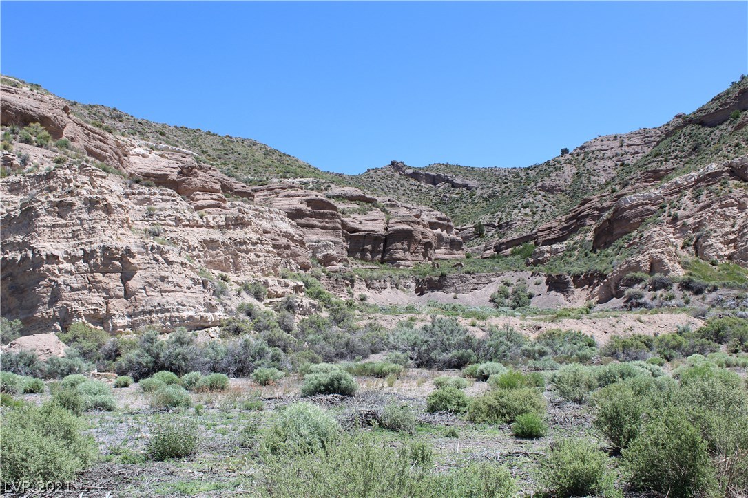Rainbow Canyon - Clover Street Property Photo 12