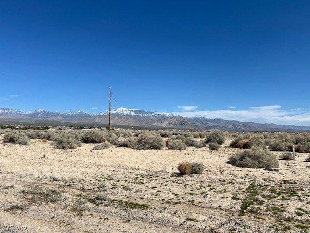 1390 East Elko Street Property Photo 4