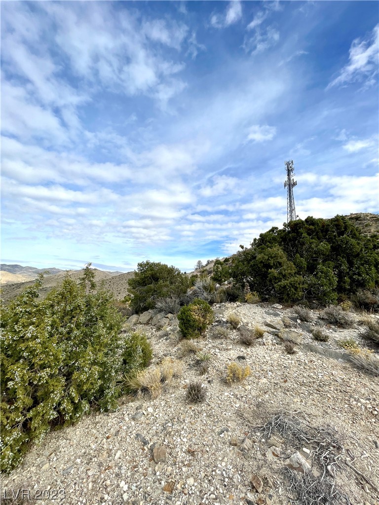 19502 State Hwy 160 Property Photo 21