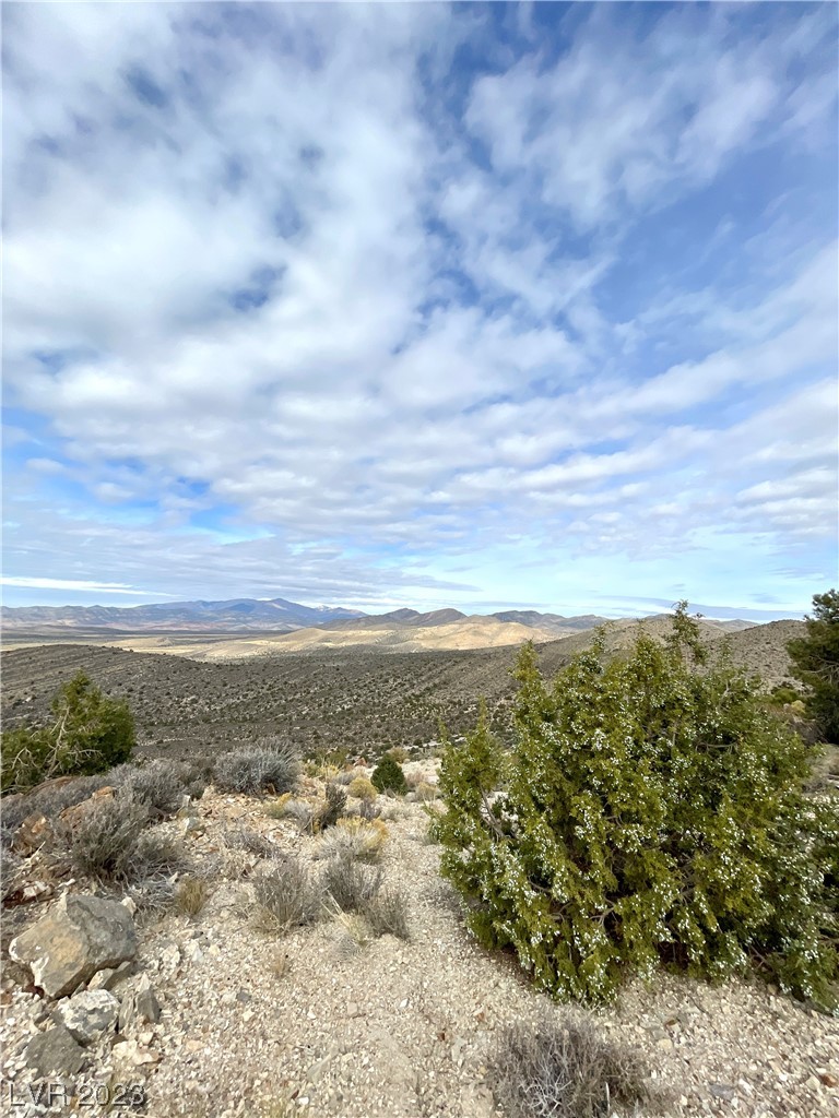 19502 State Hwy 160 Property Photo 22
