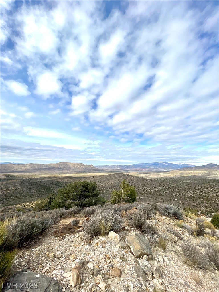 19502 State Hwy 160 Property Photo 23
