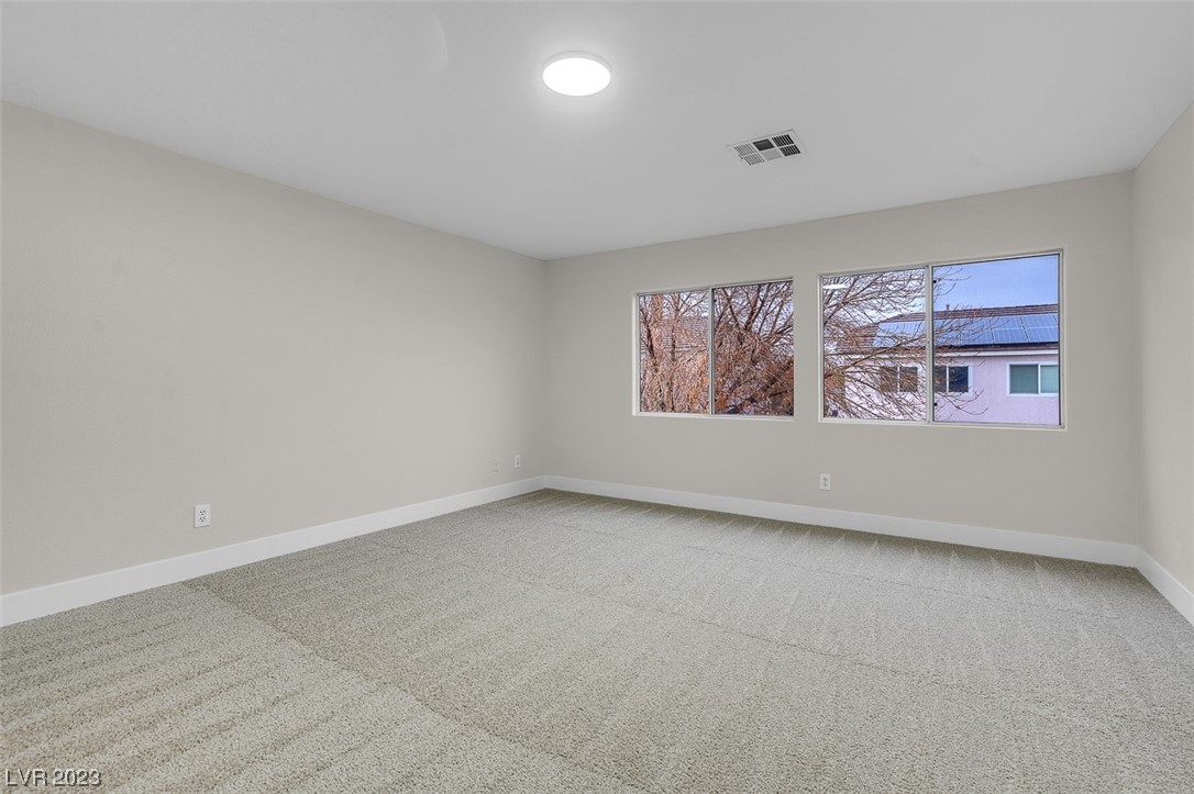 8916 Wolf Dancer Avenue Property Photo 38