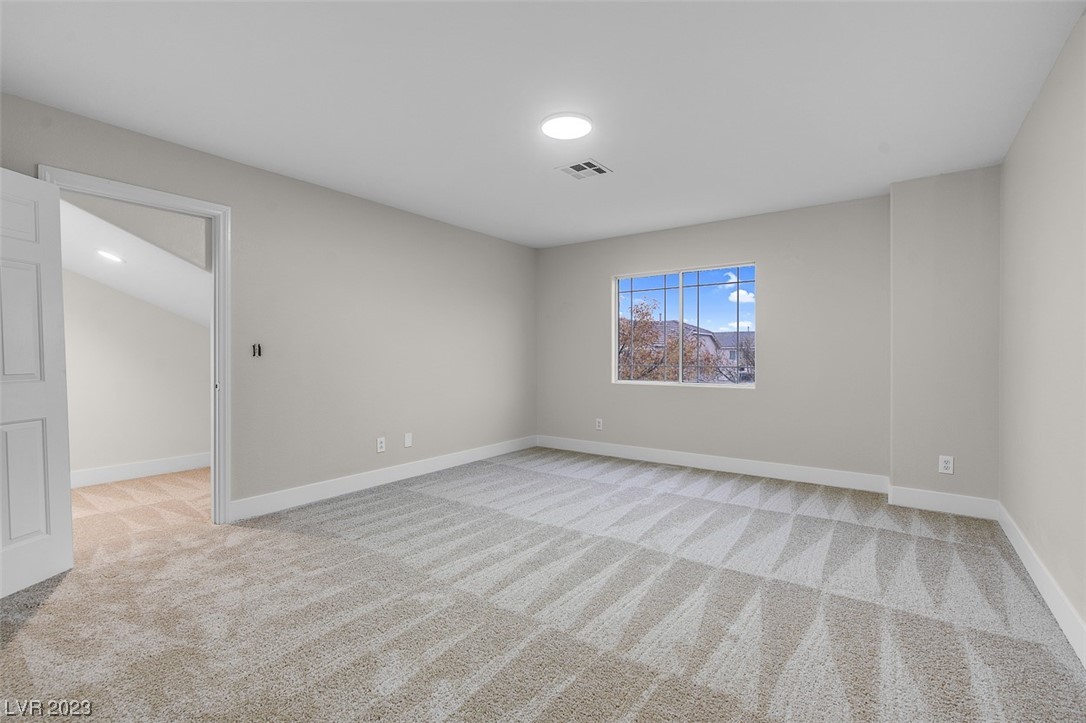 8916 Wolf Dancer Avenue Property Photo 46