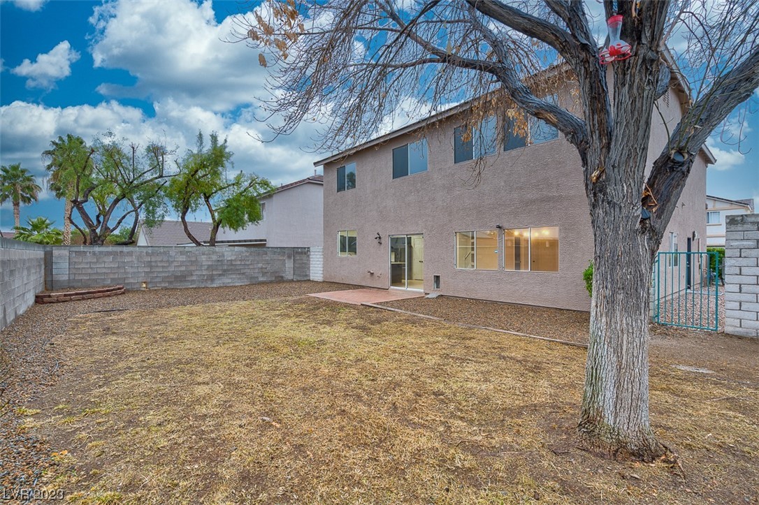8916 Wolf Dancer Avenue Property Photo 54