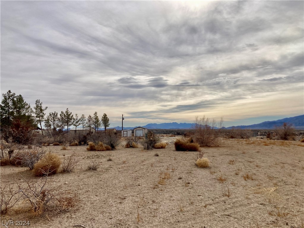 1021 Carson Street Property Photo