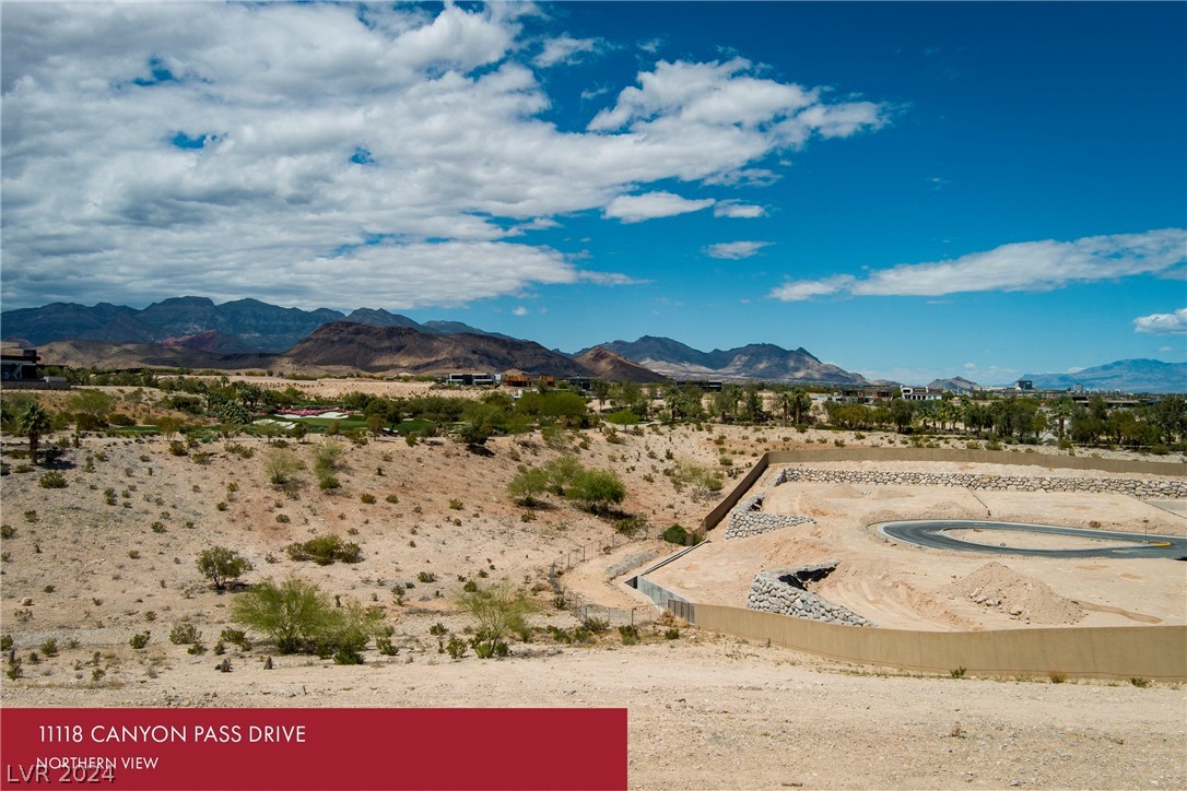 11118 Canyon Pass Drive Property Photo 4