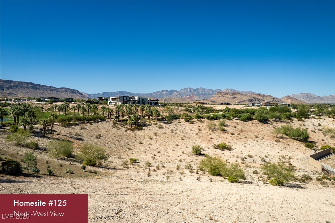 11118 Canyon Pass Drive Property Photo 5
